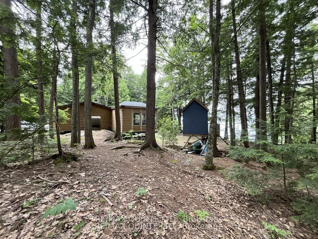 Listing 217081 Image