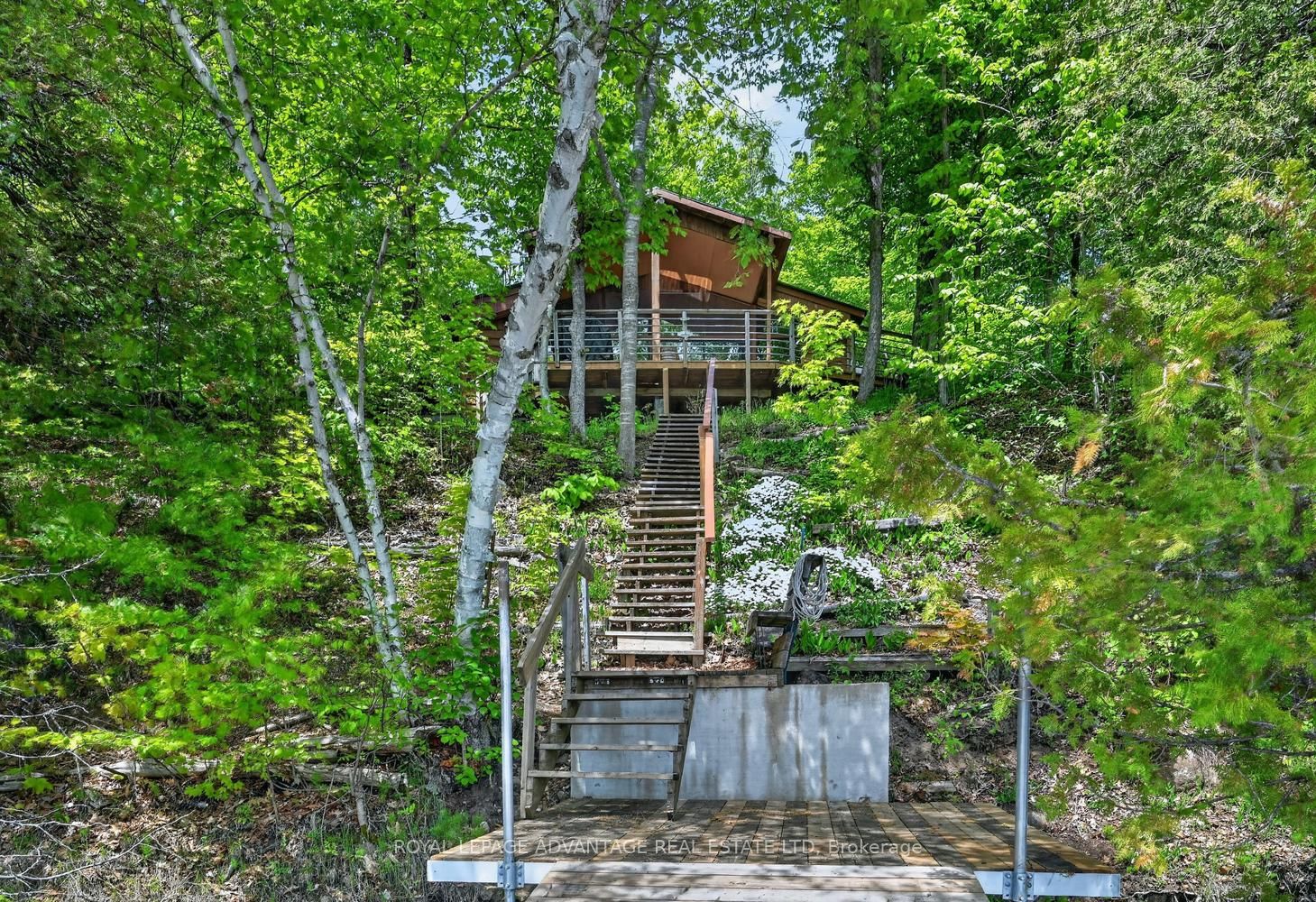 Main Property