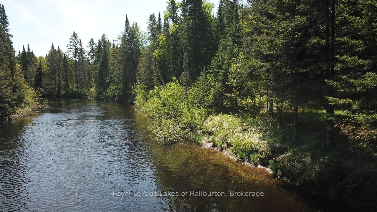 Listing 84339 Image