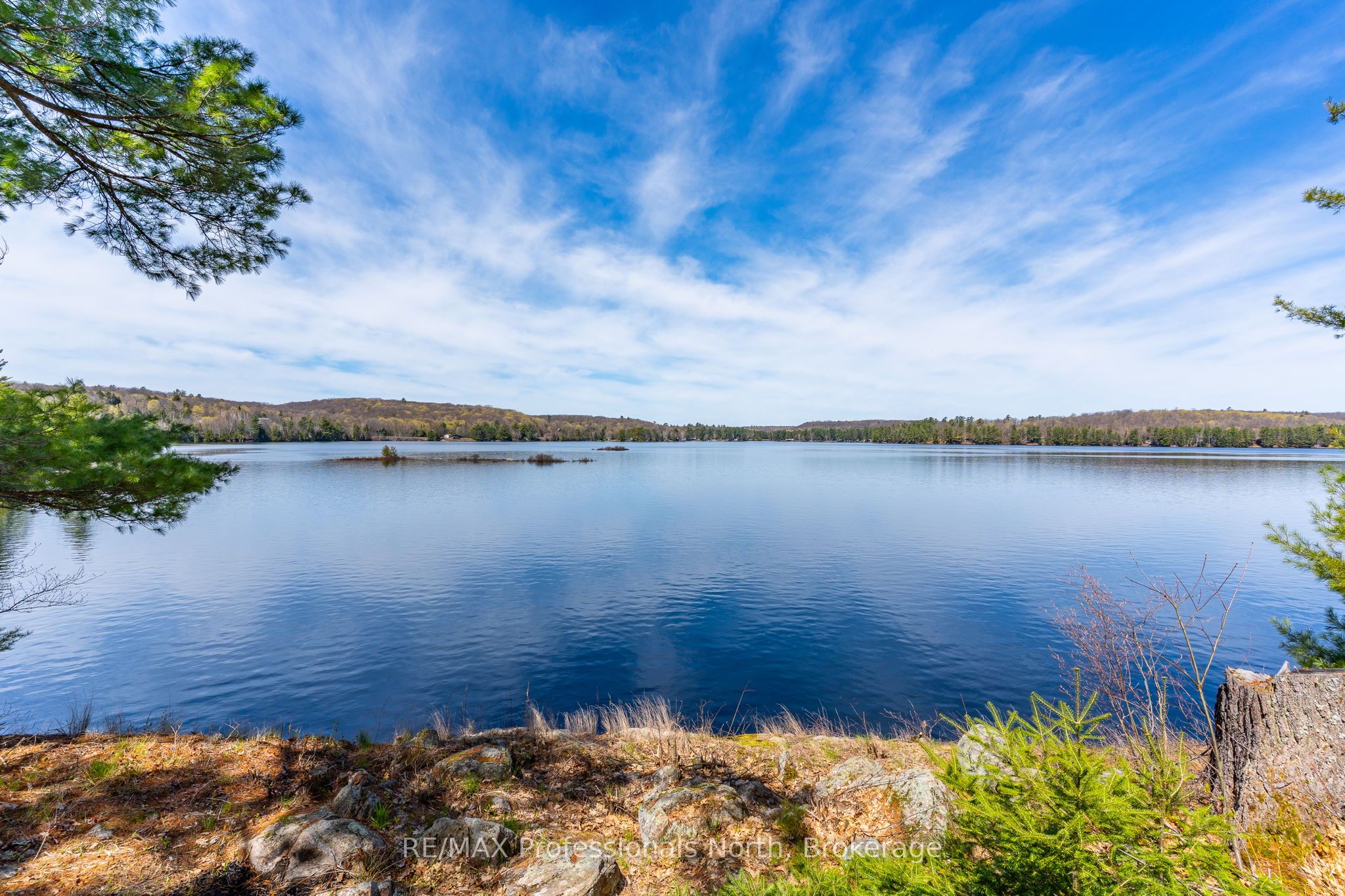 Listing 194603 Image