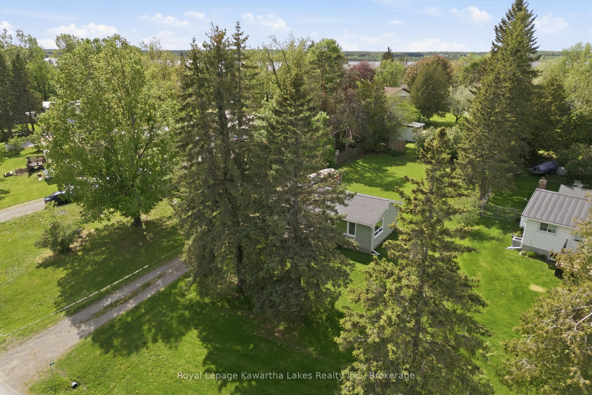 Listing 39788 Image