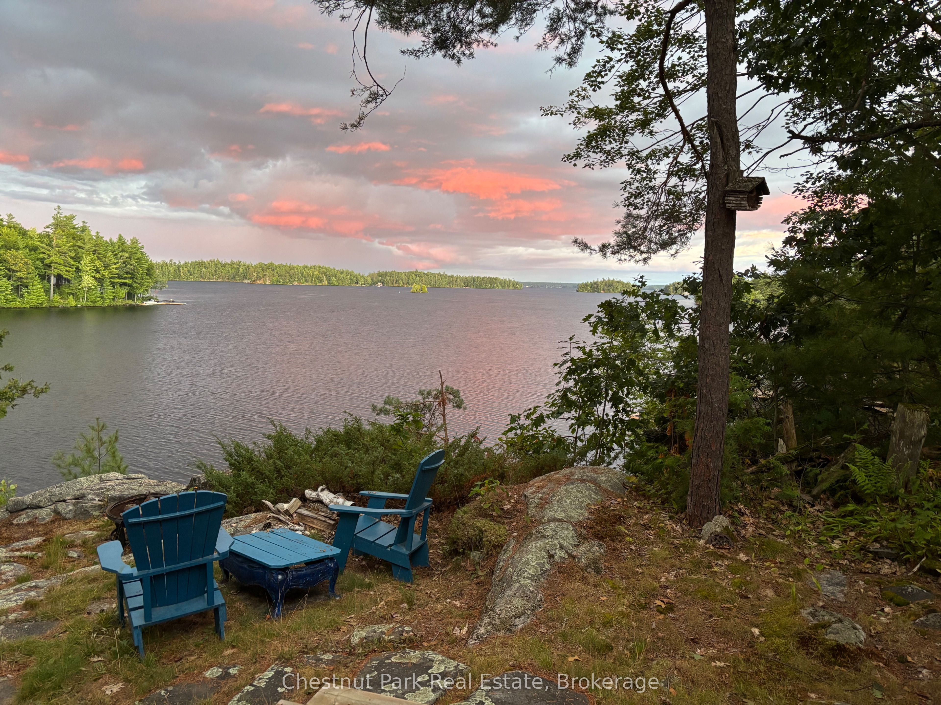 Listing 147256 Image