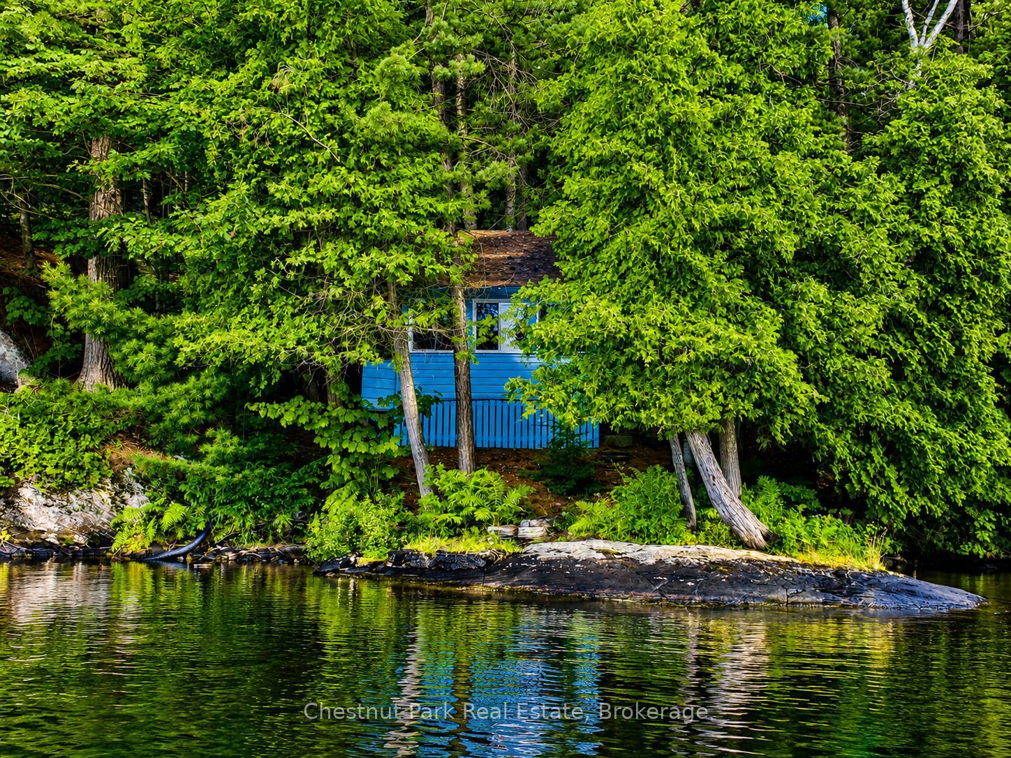 Main Property