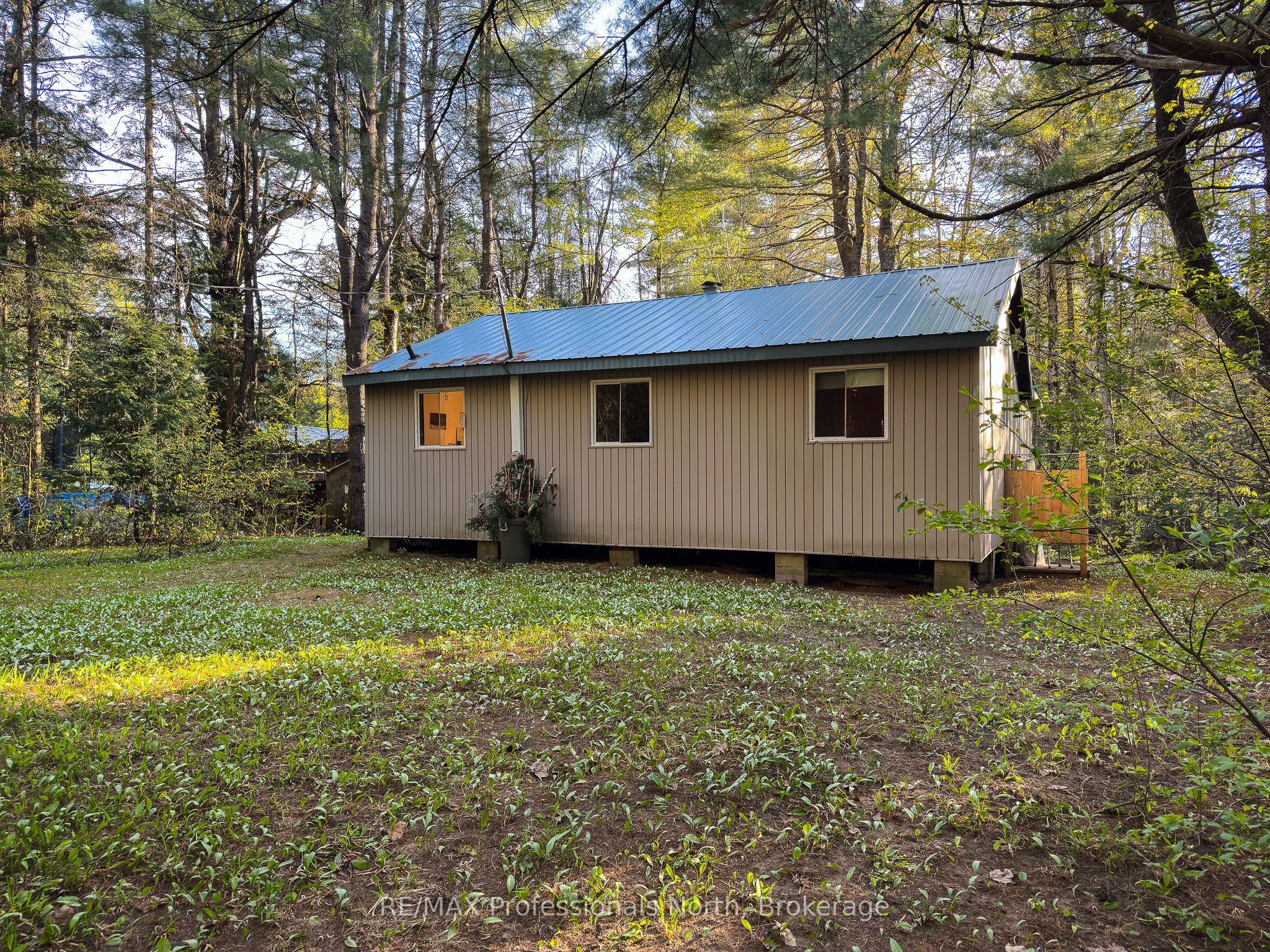 Main Property
