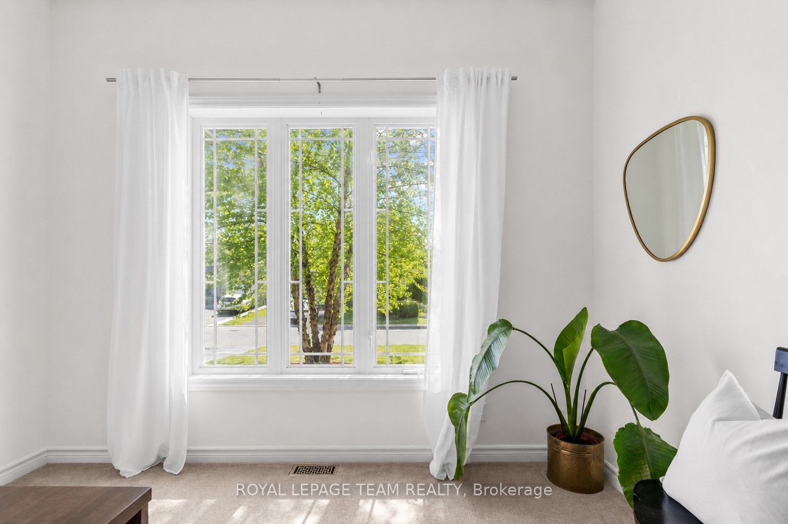 Listing 77285 Image