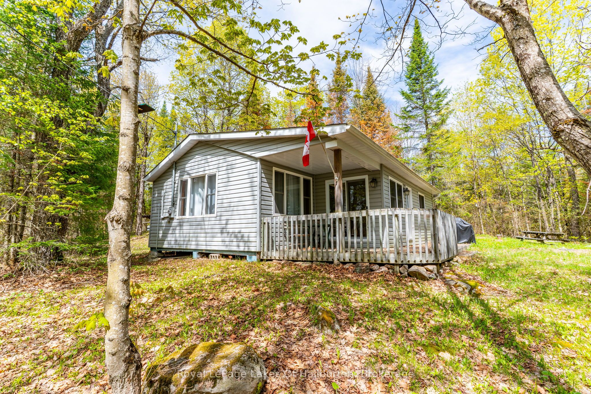 Main Property