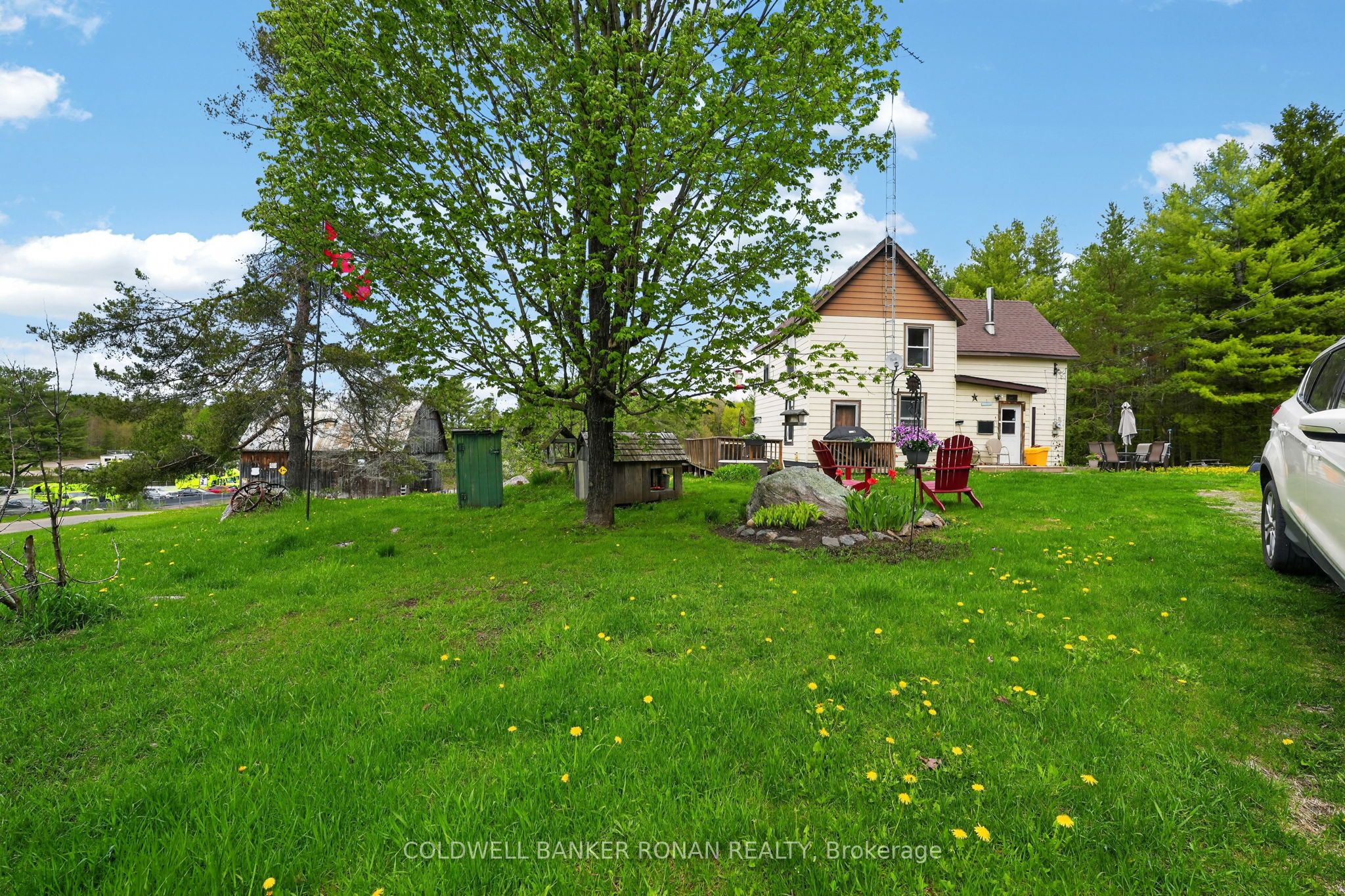 Listing 44534 Image