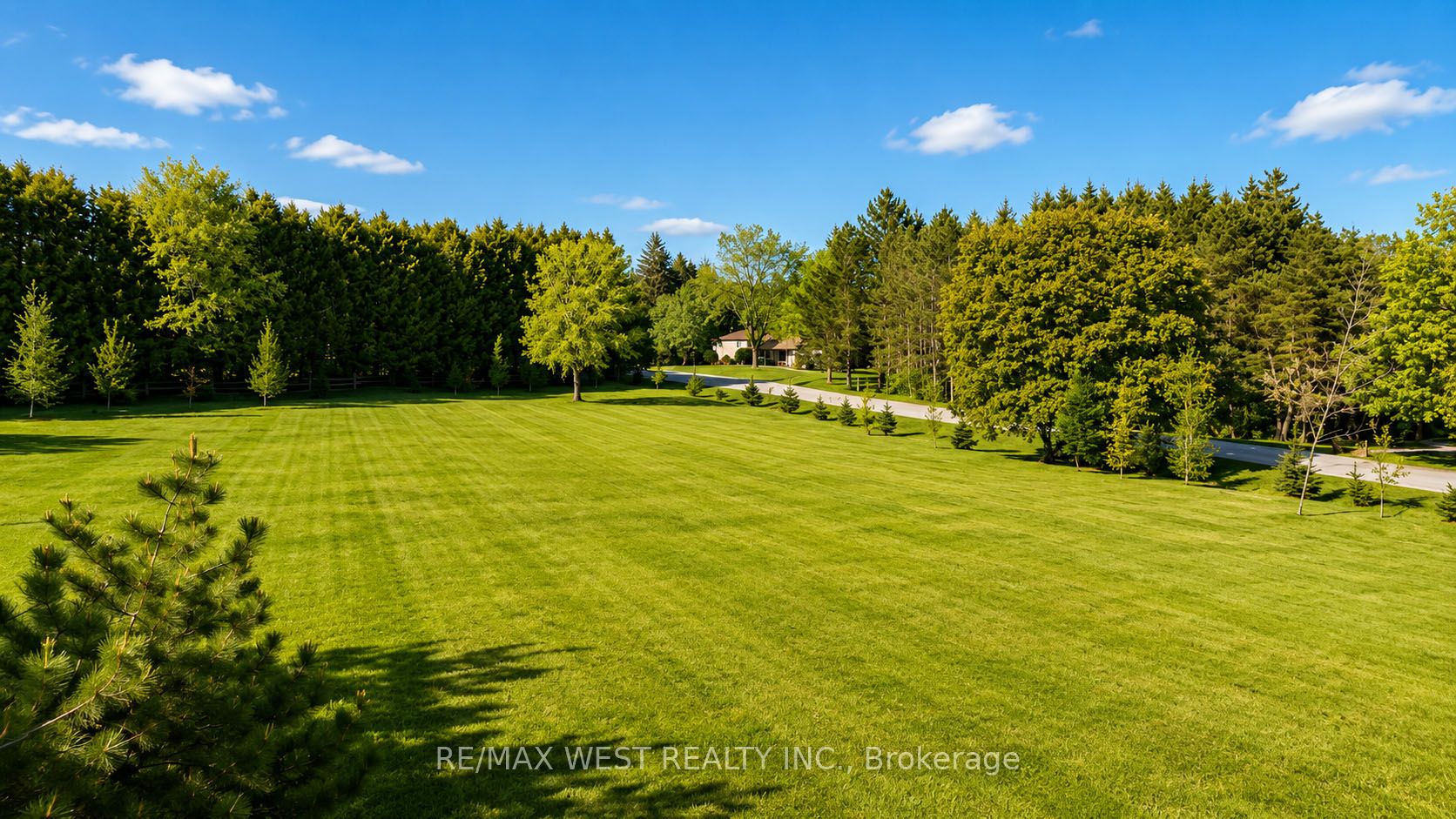 Main Property