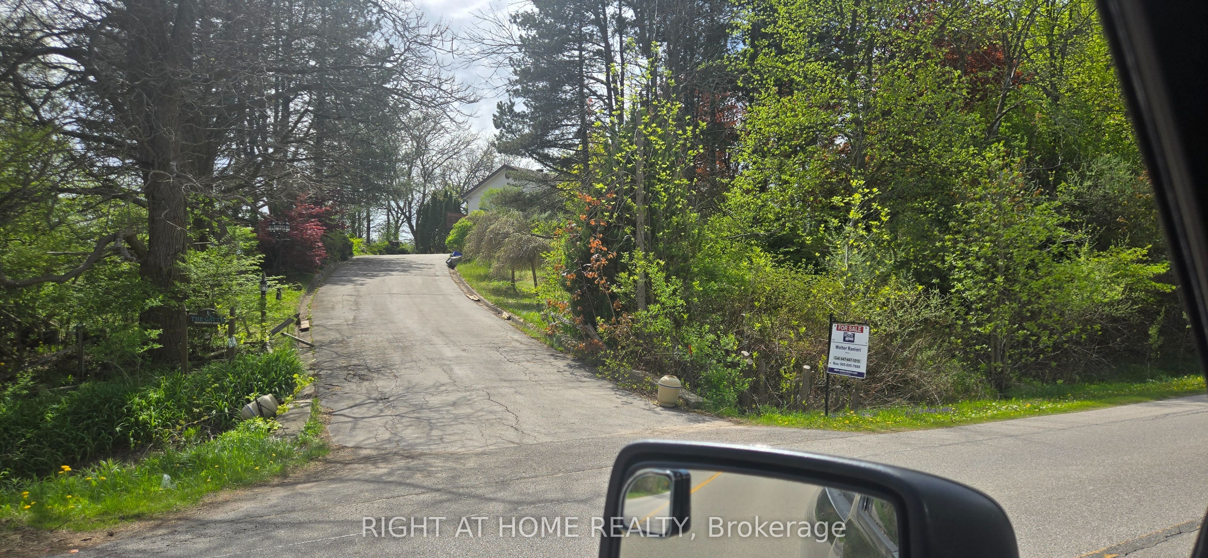 Listing 41672 Image