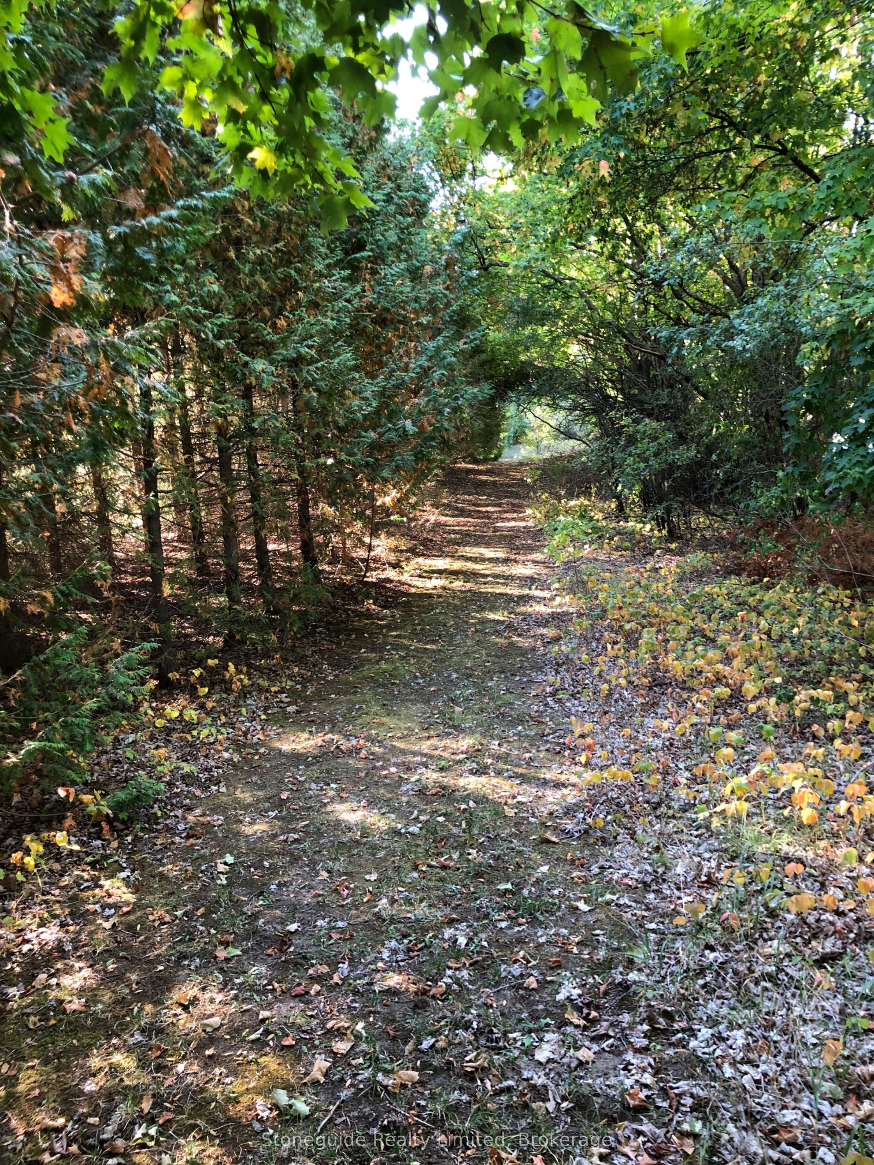 Listing 31853 Image