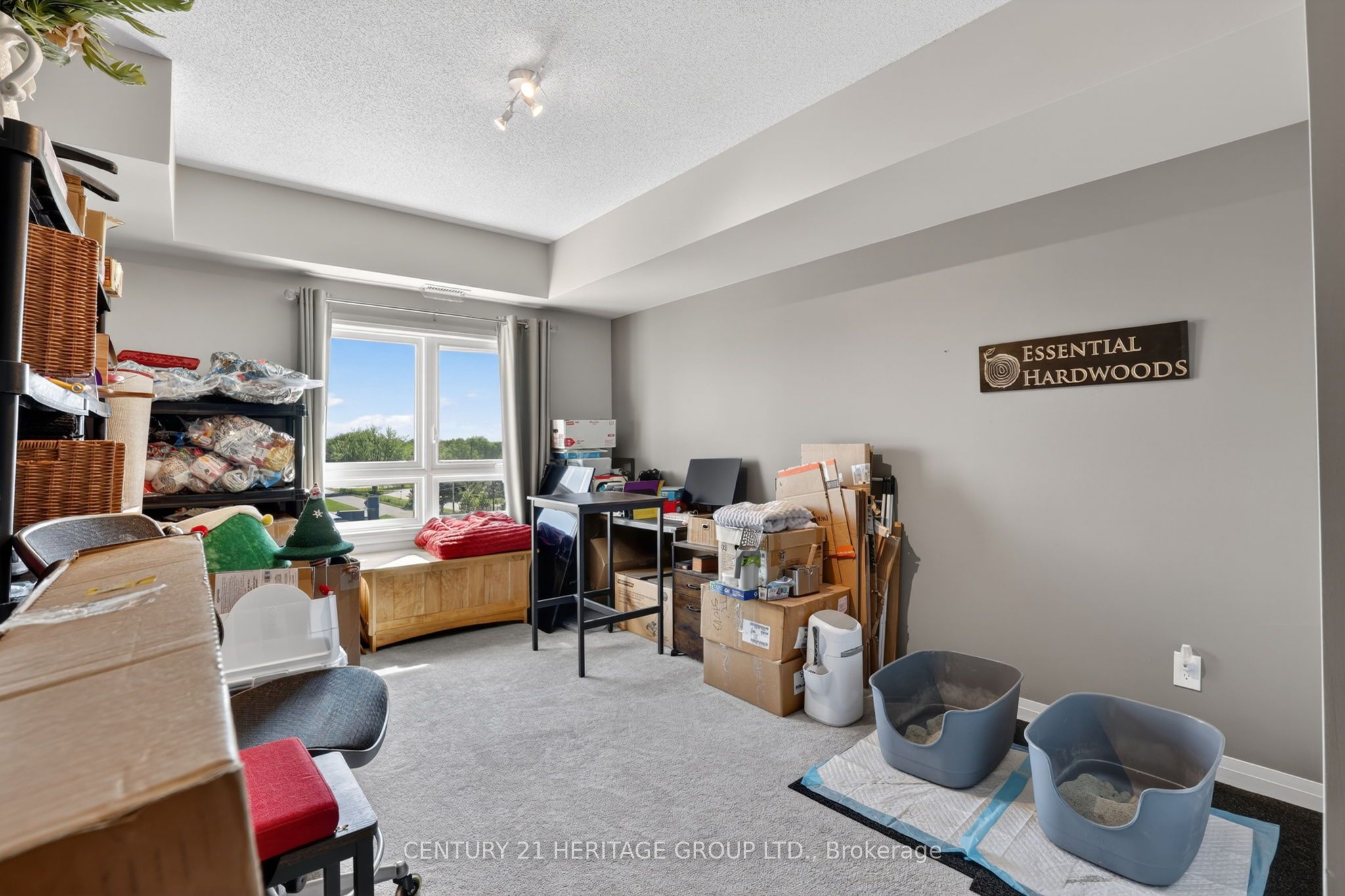 Main Property