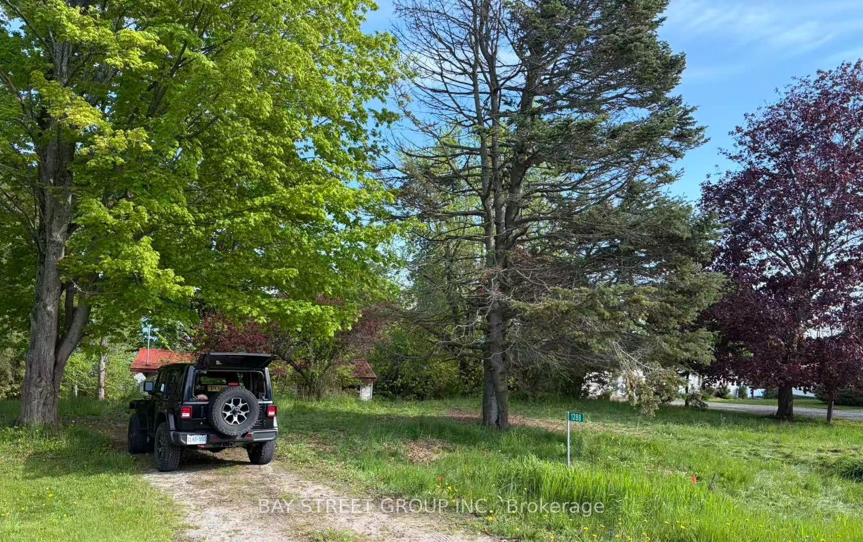 Listing 42490 Image