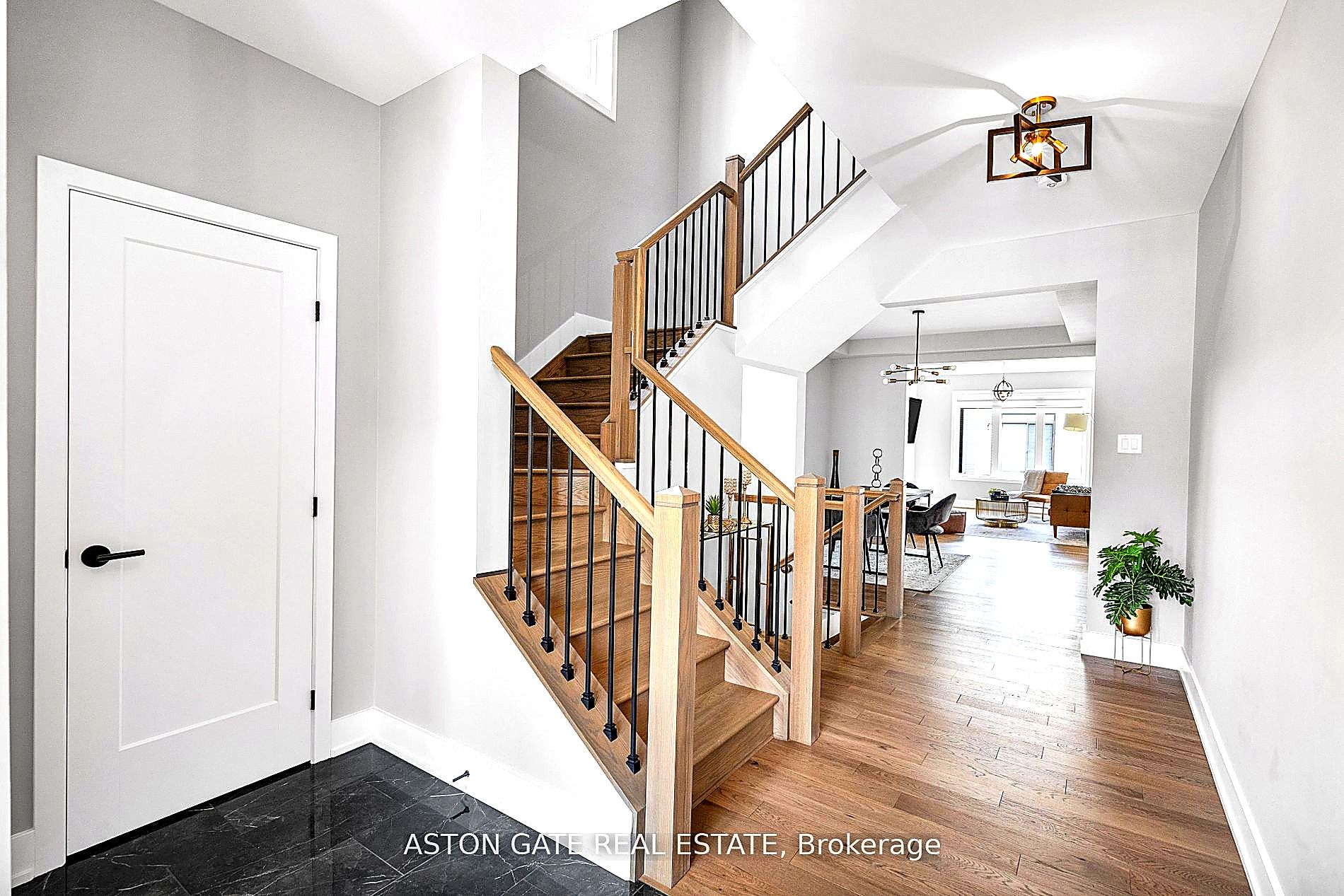 Listing 51294 Image