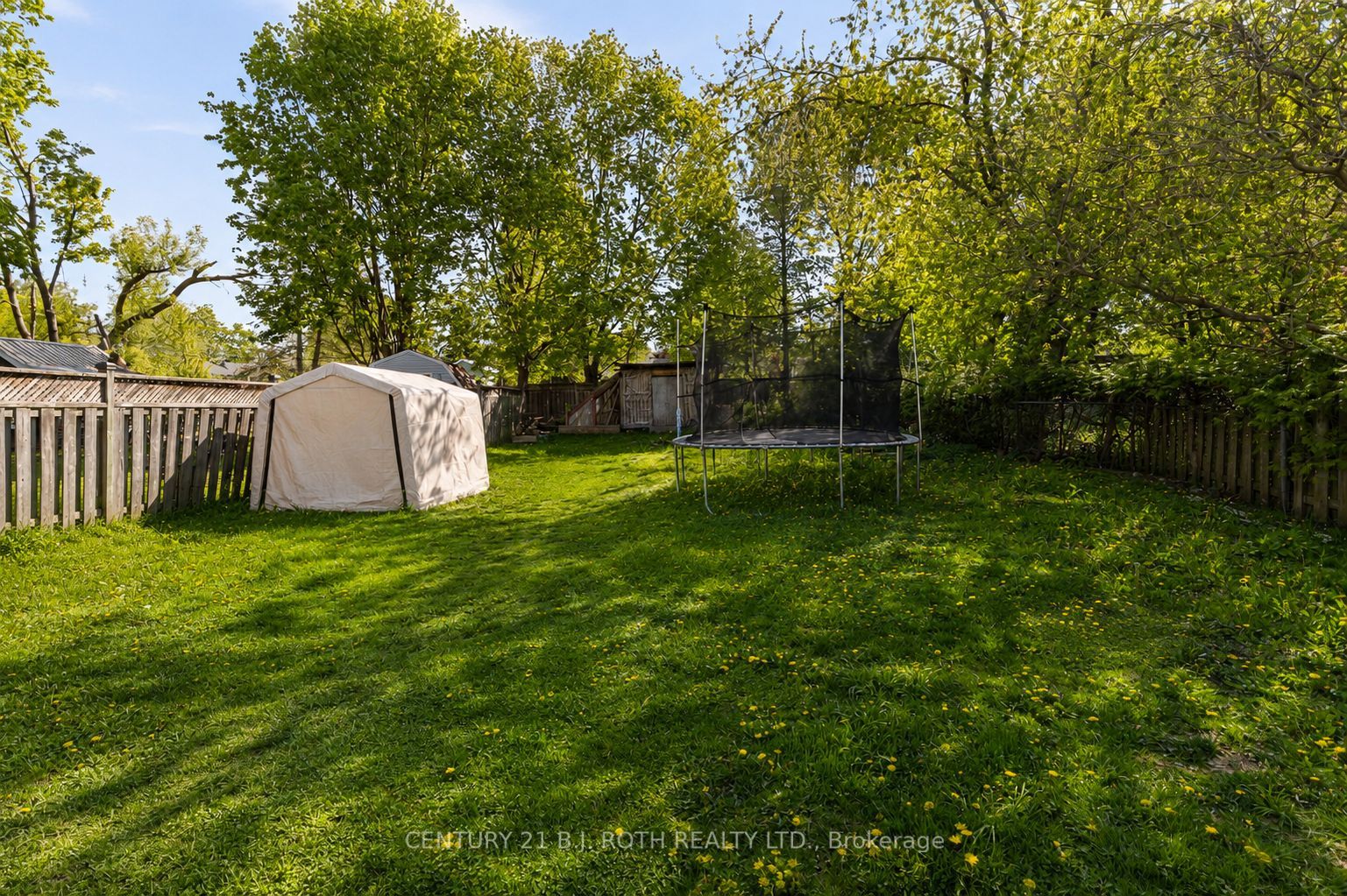 Listing 45971 Image