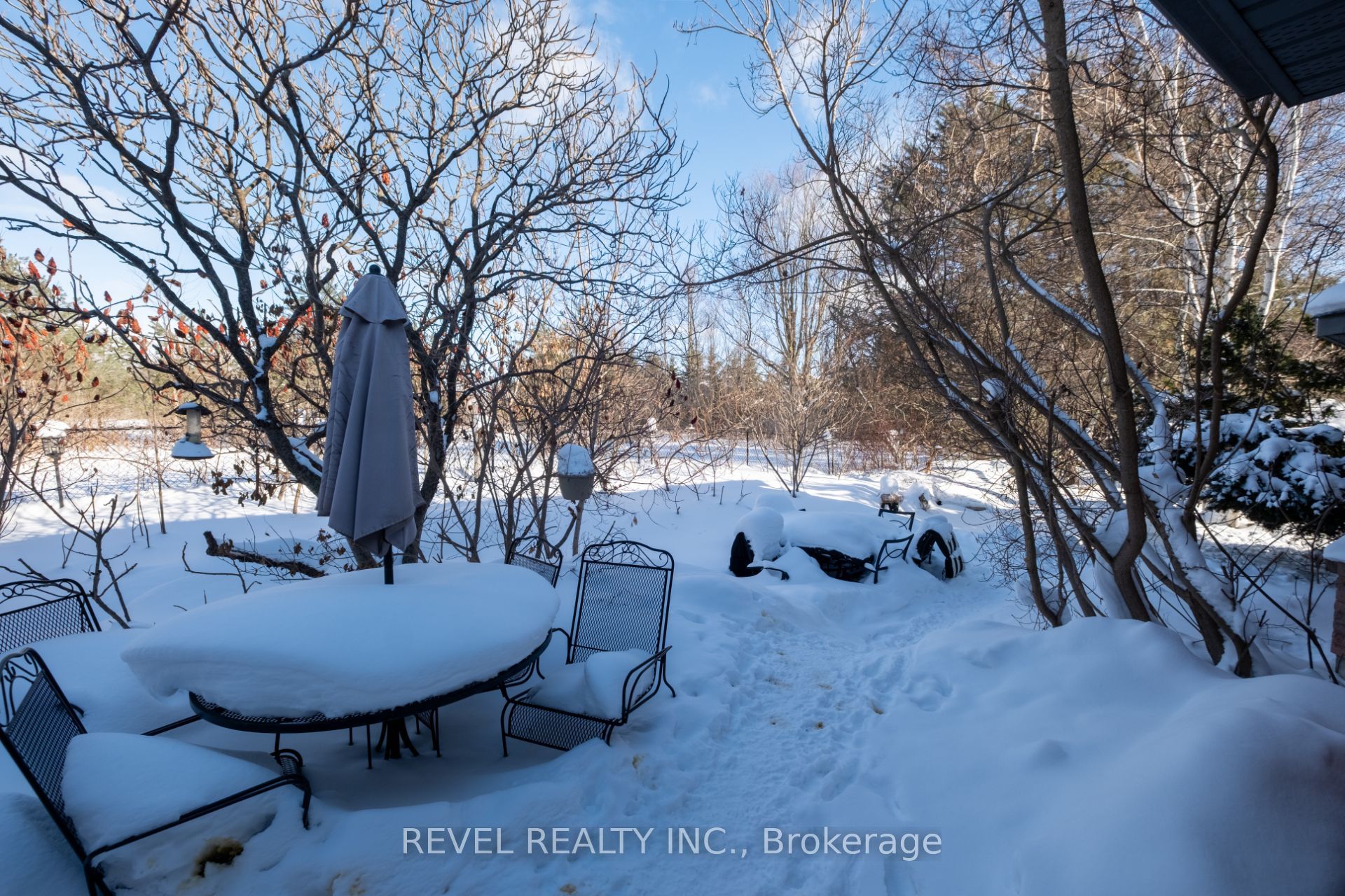 Listing 43806 Image