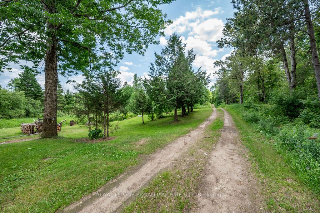 Listing 42712 Image