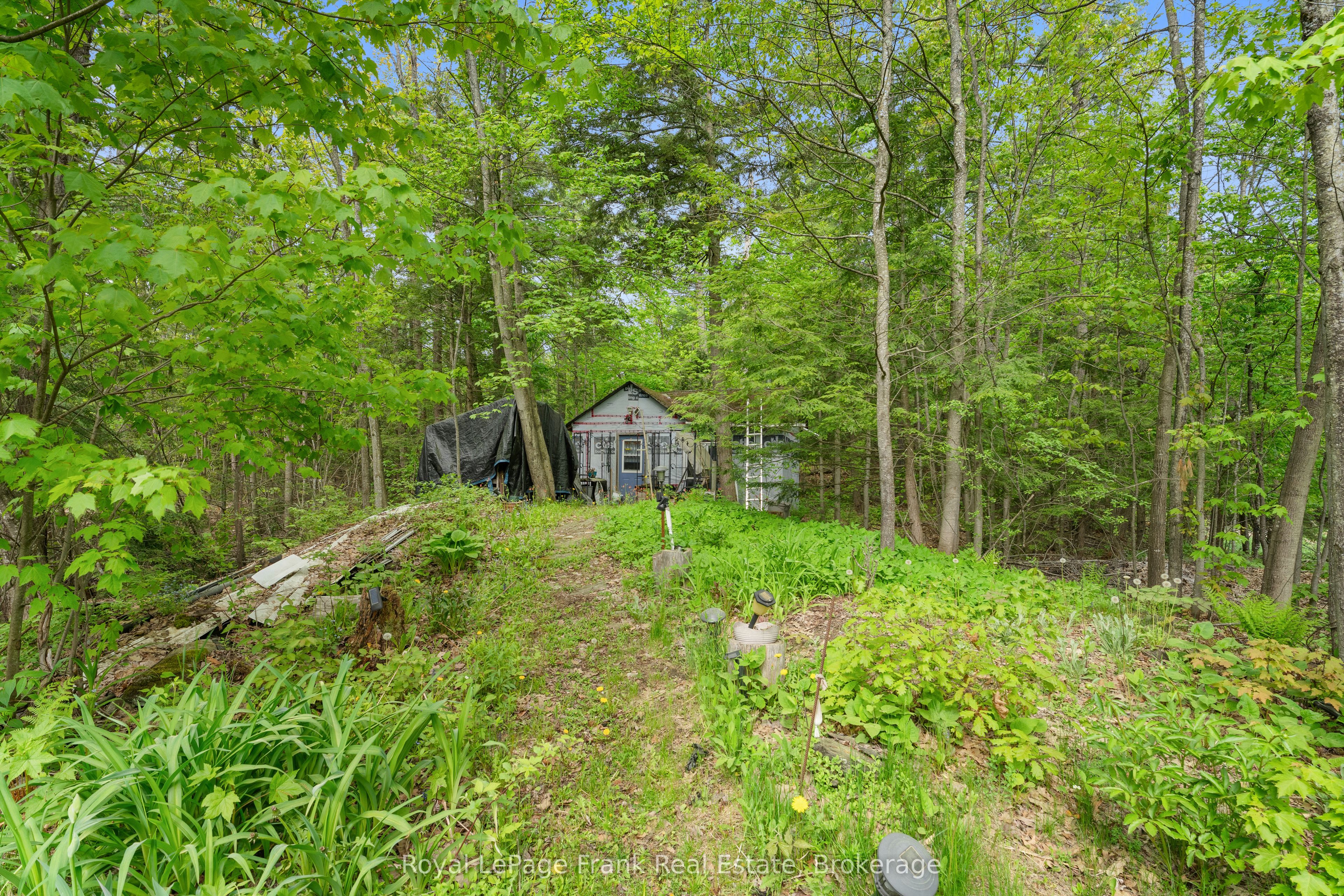 Listing 51183 Image