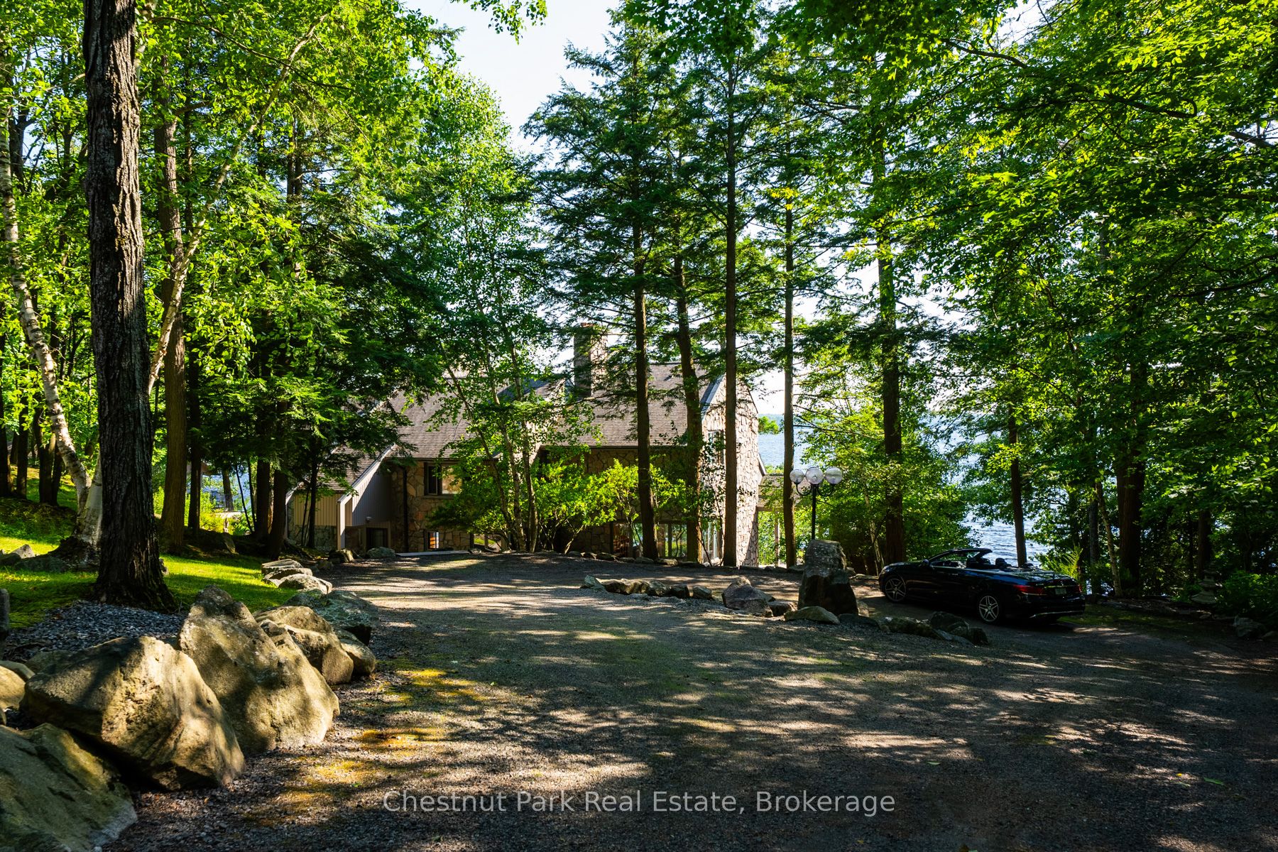 Main Property