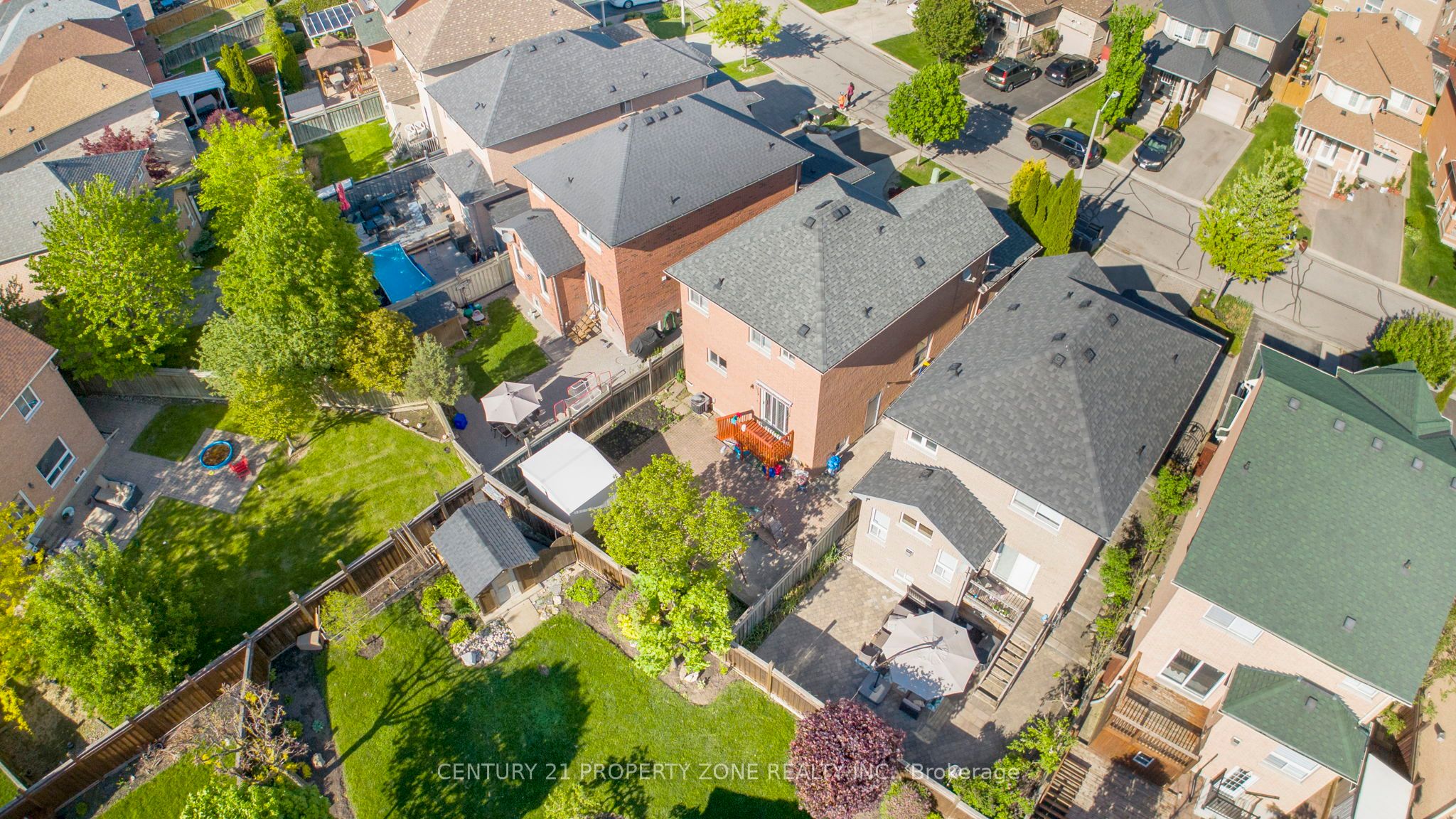 Main Property