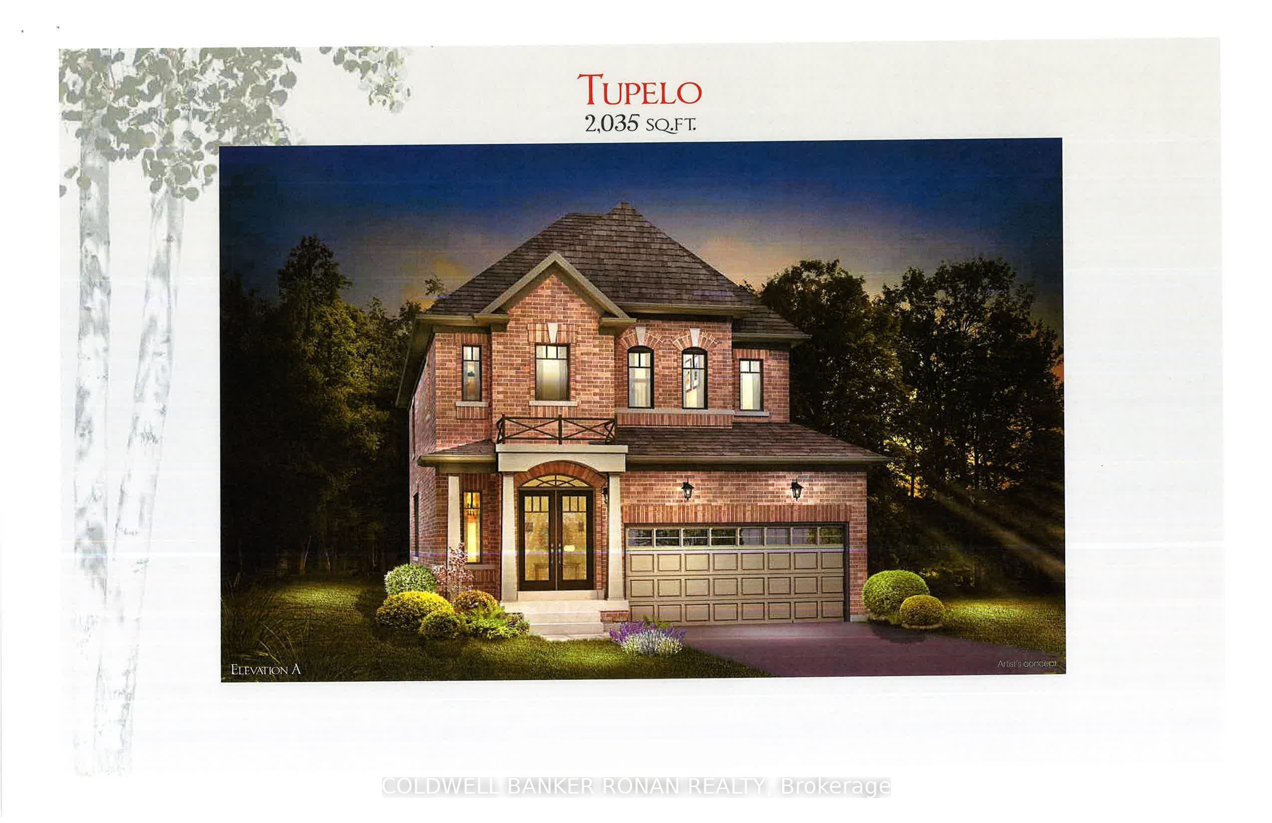 Listing 50323 Image