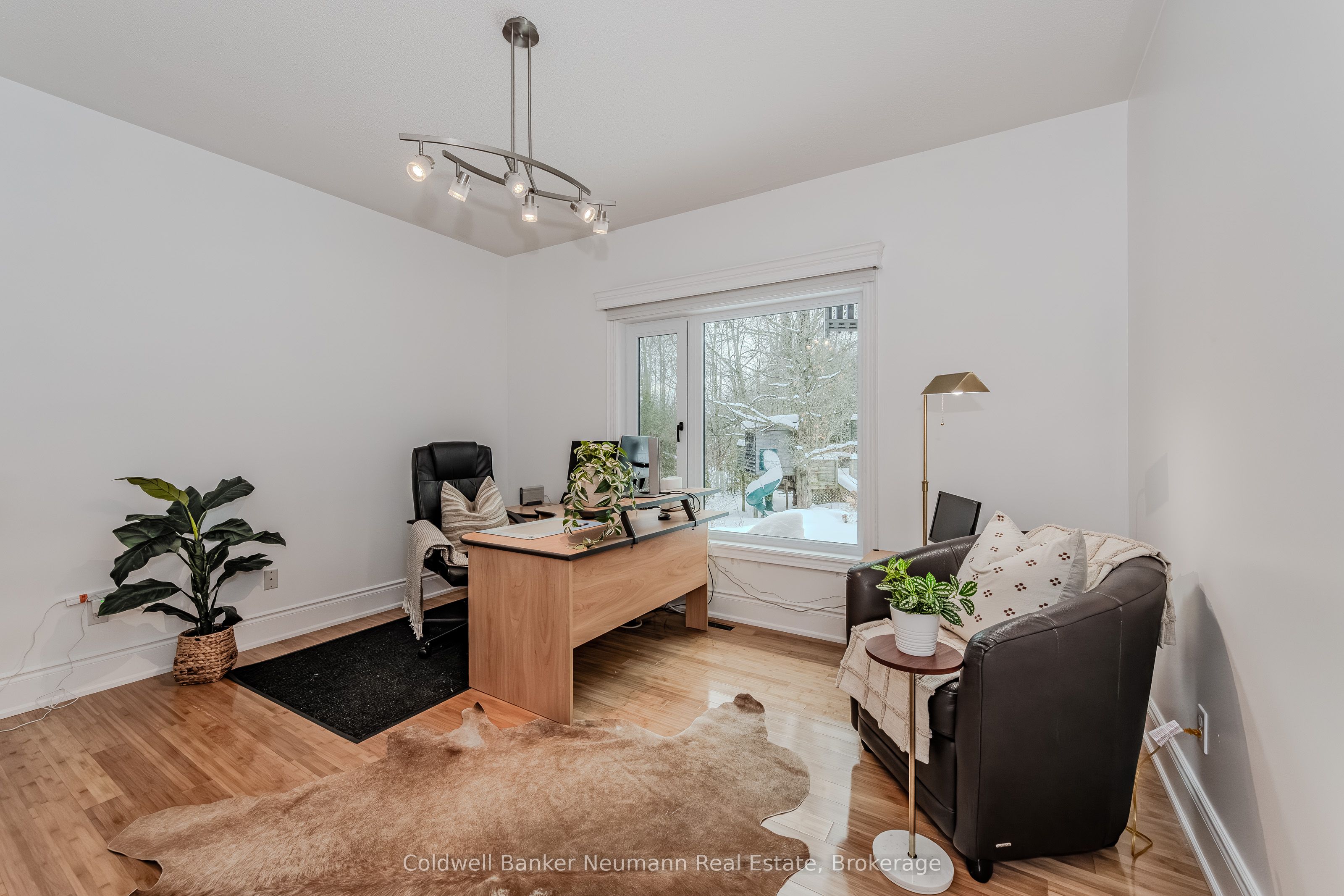 Listing 50519 Image