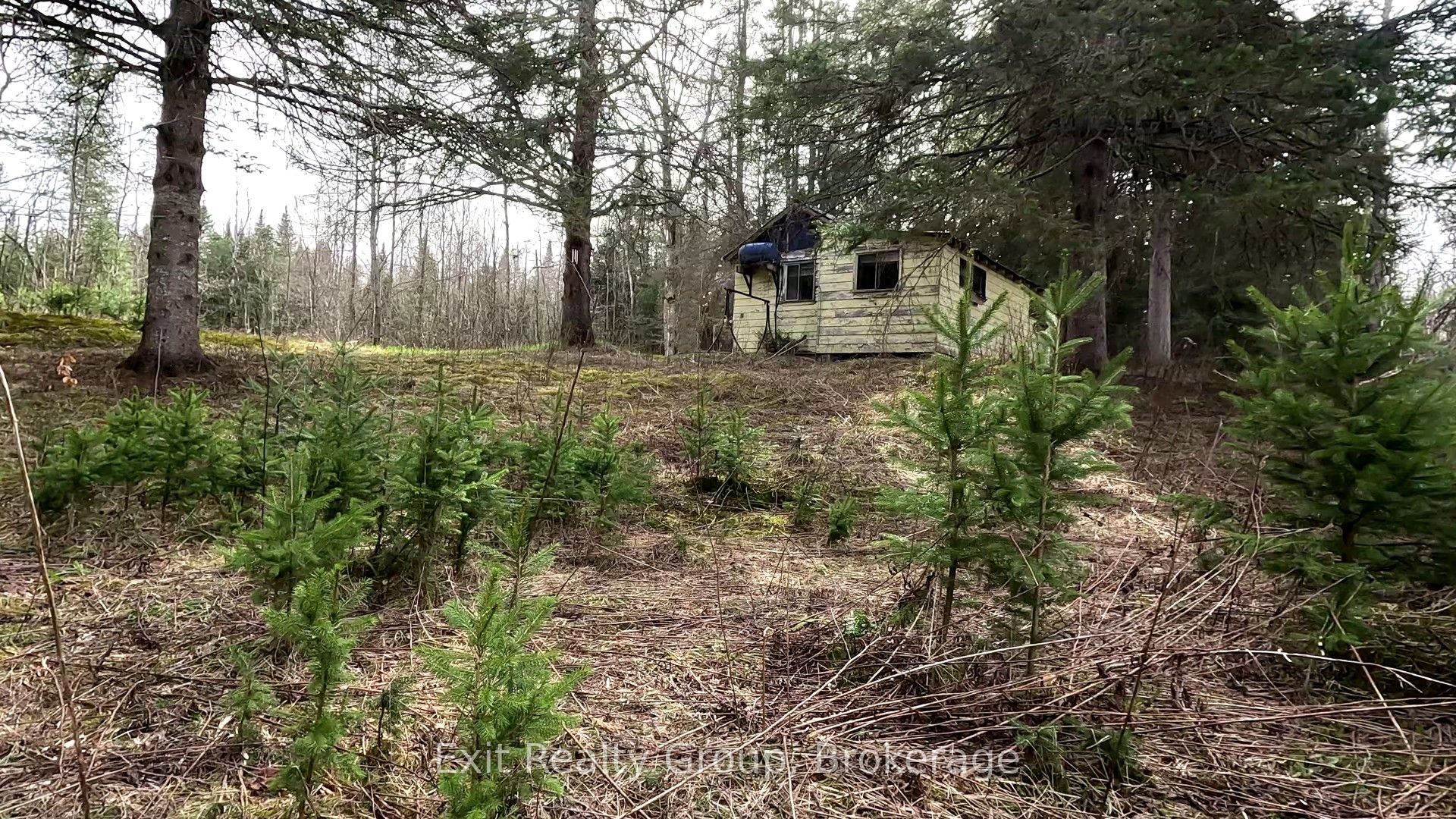Listing 64512 Image