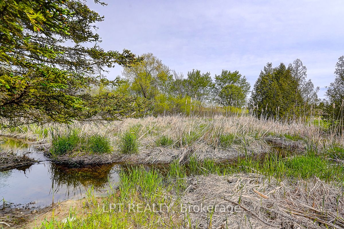 Listing 61852 Image