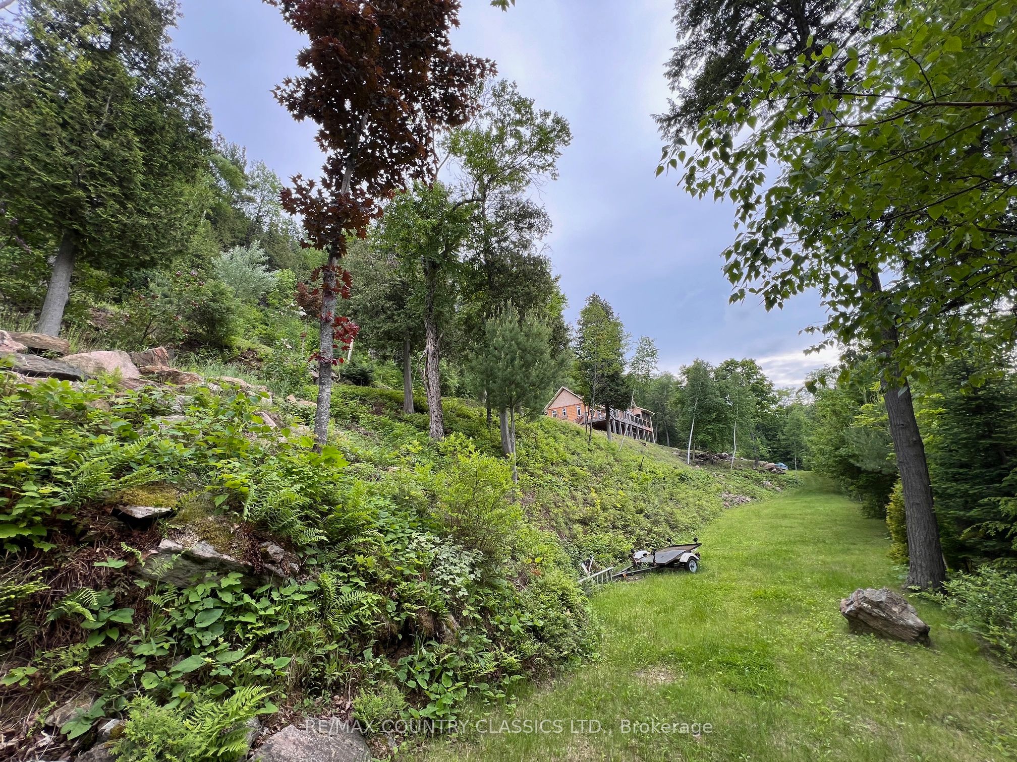 Listing 49504 Image