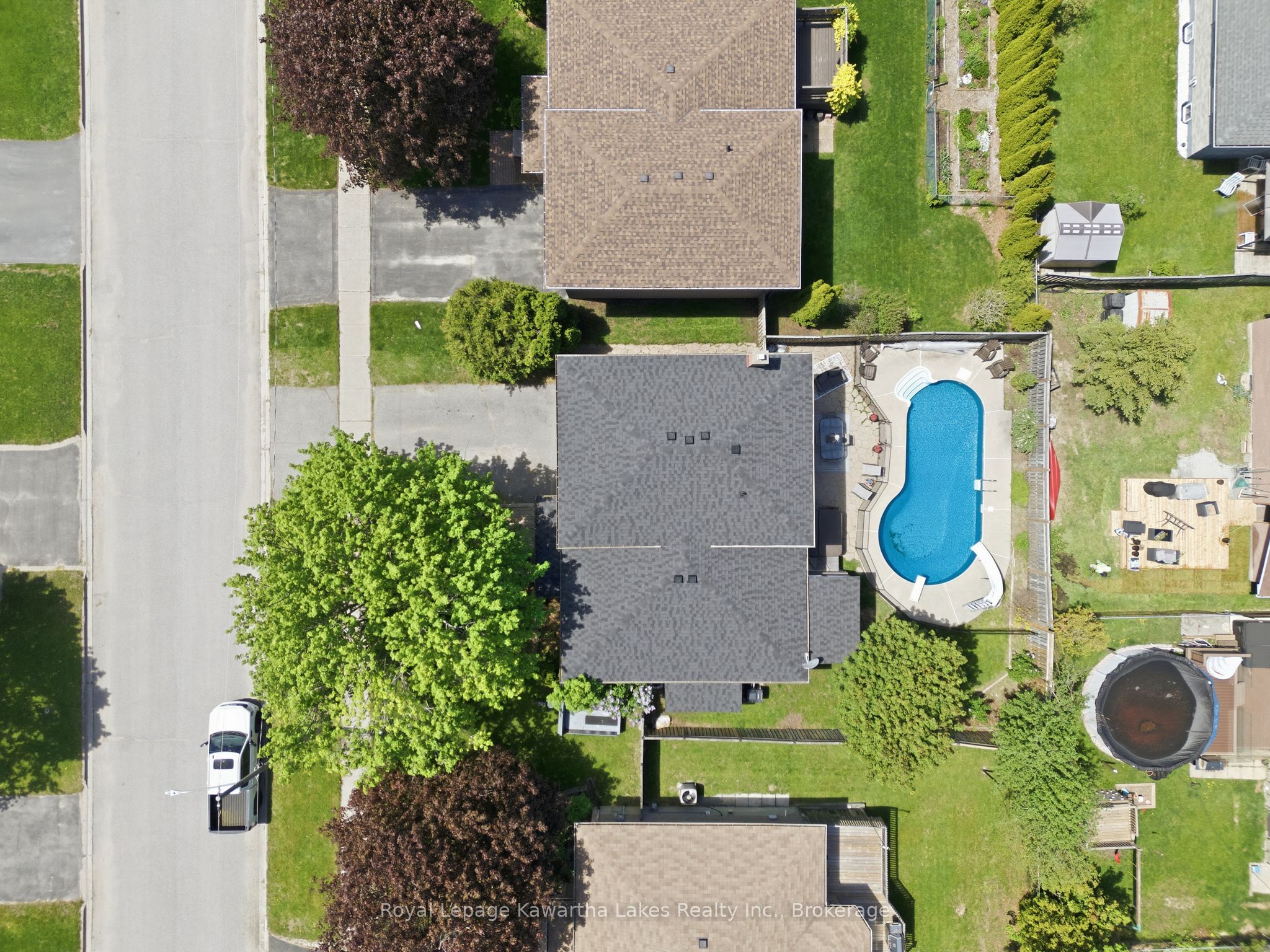 Main Property