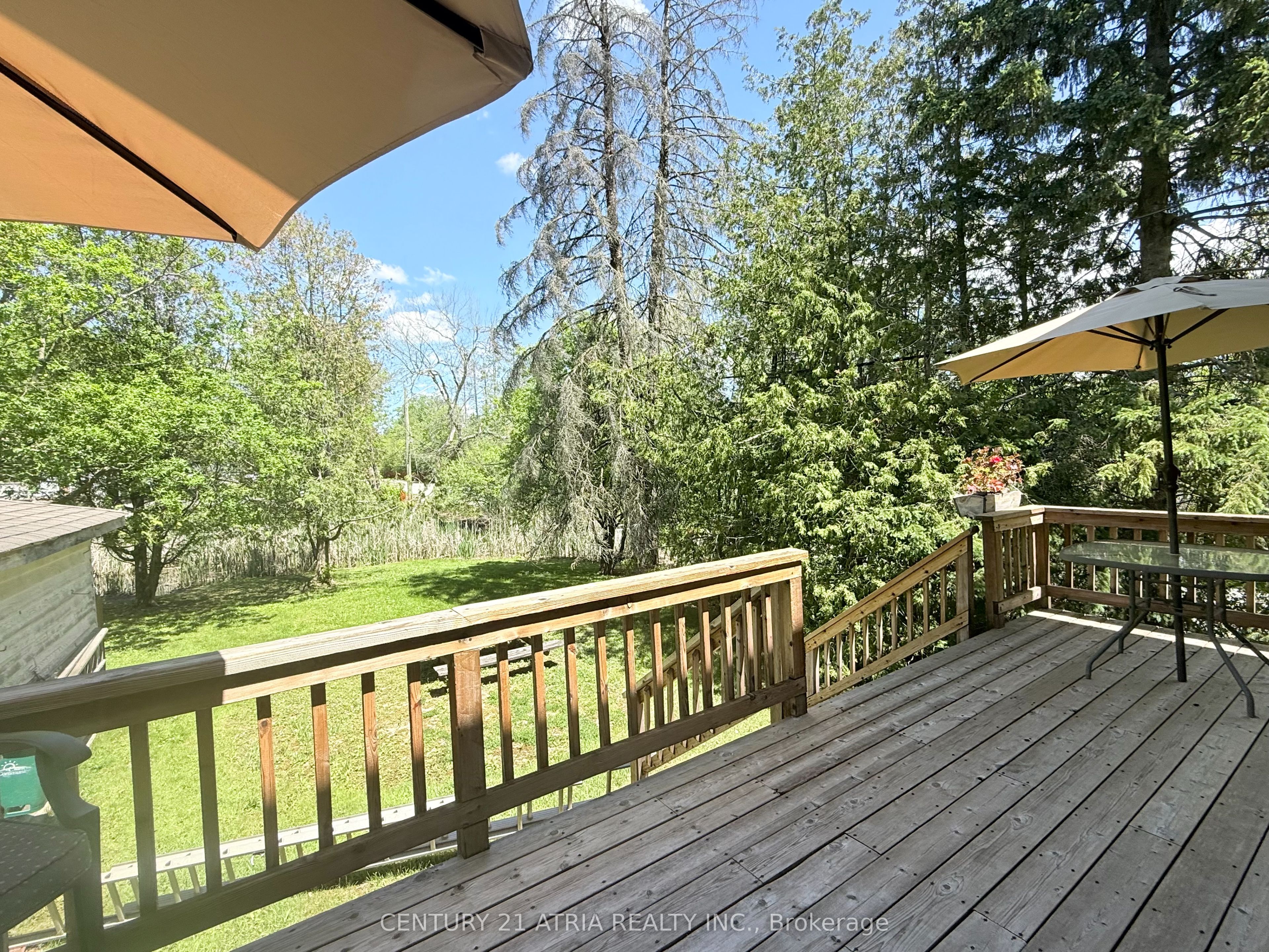 Listing 61616 Image
