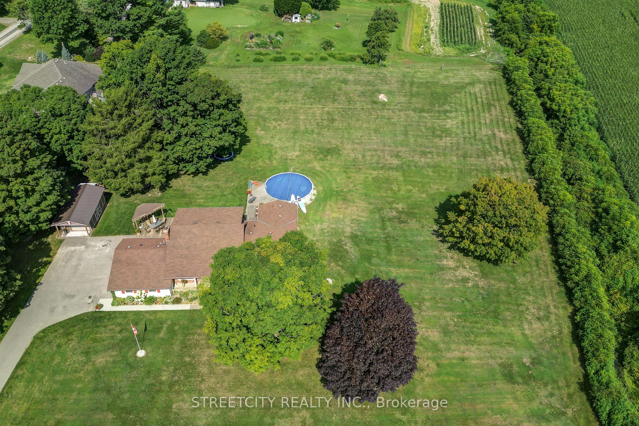 Listing 62393 Image