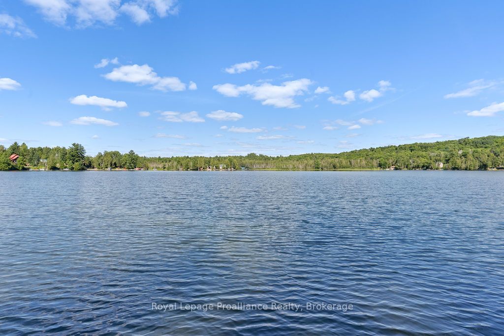 Listing 58661 Image