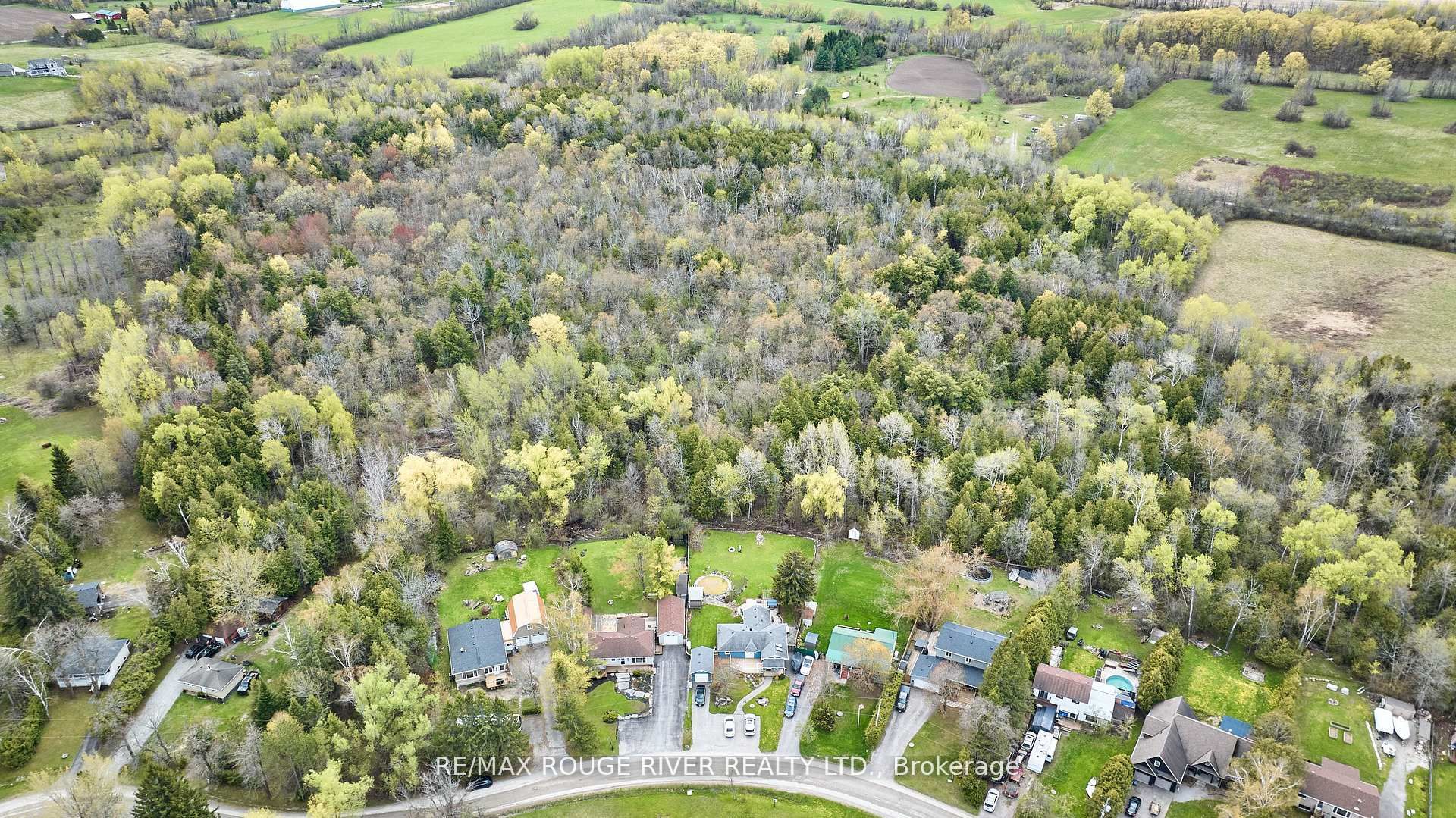 Listing 61481 Image