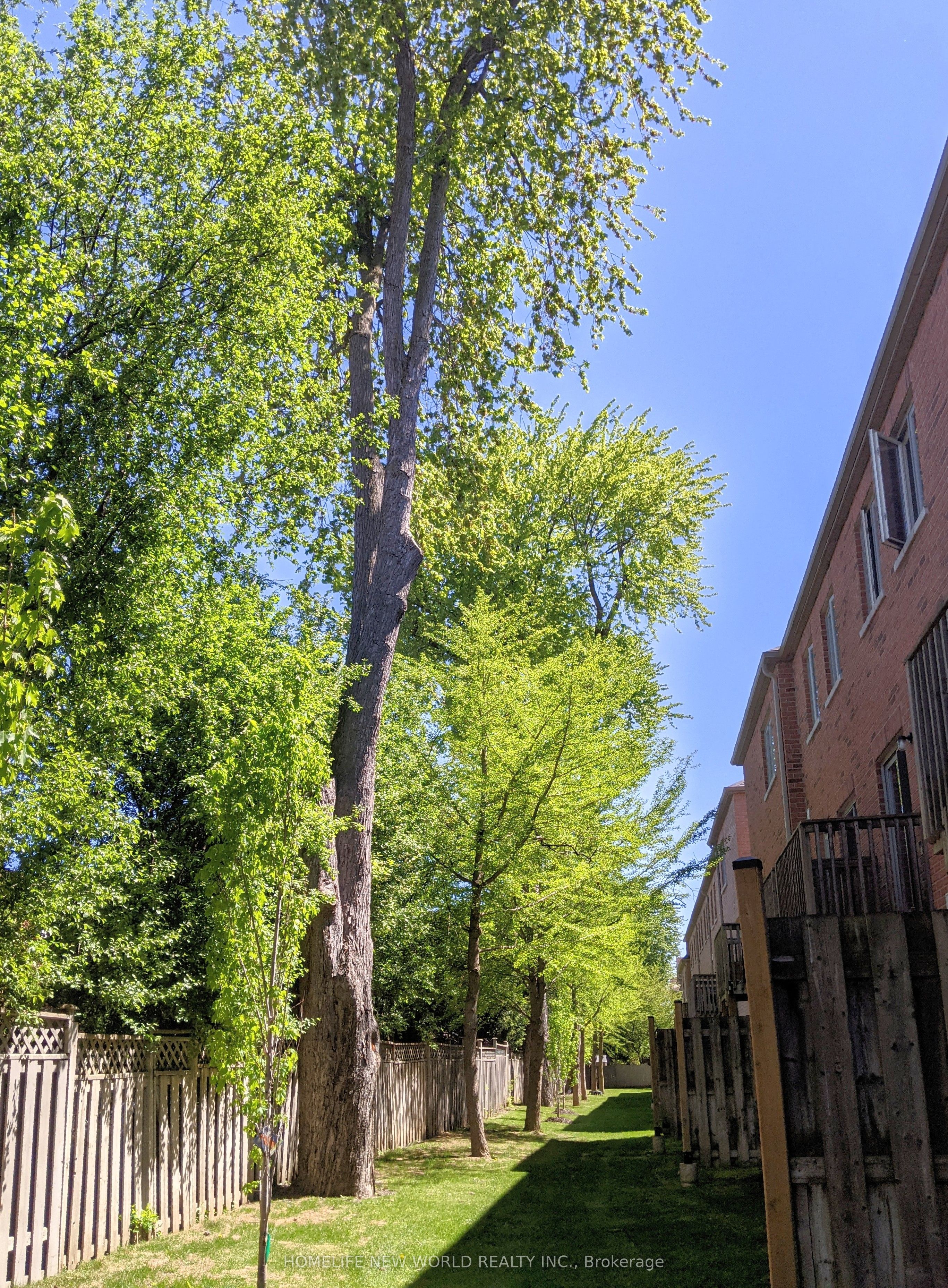 Listing 77733 Image