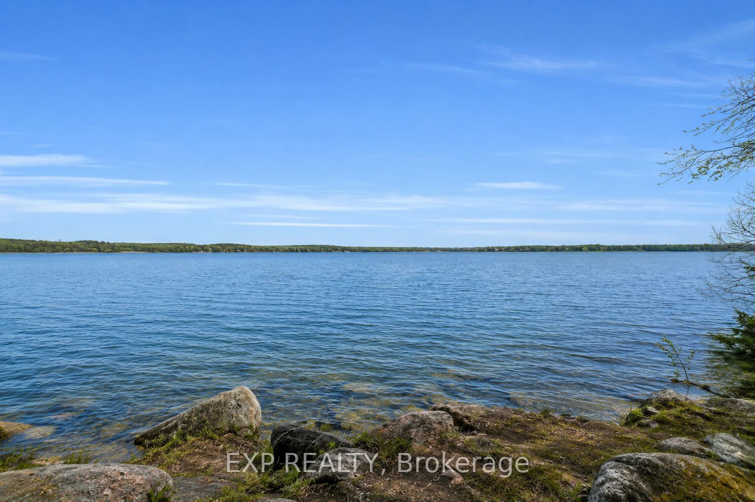 Listing 84479 Image