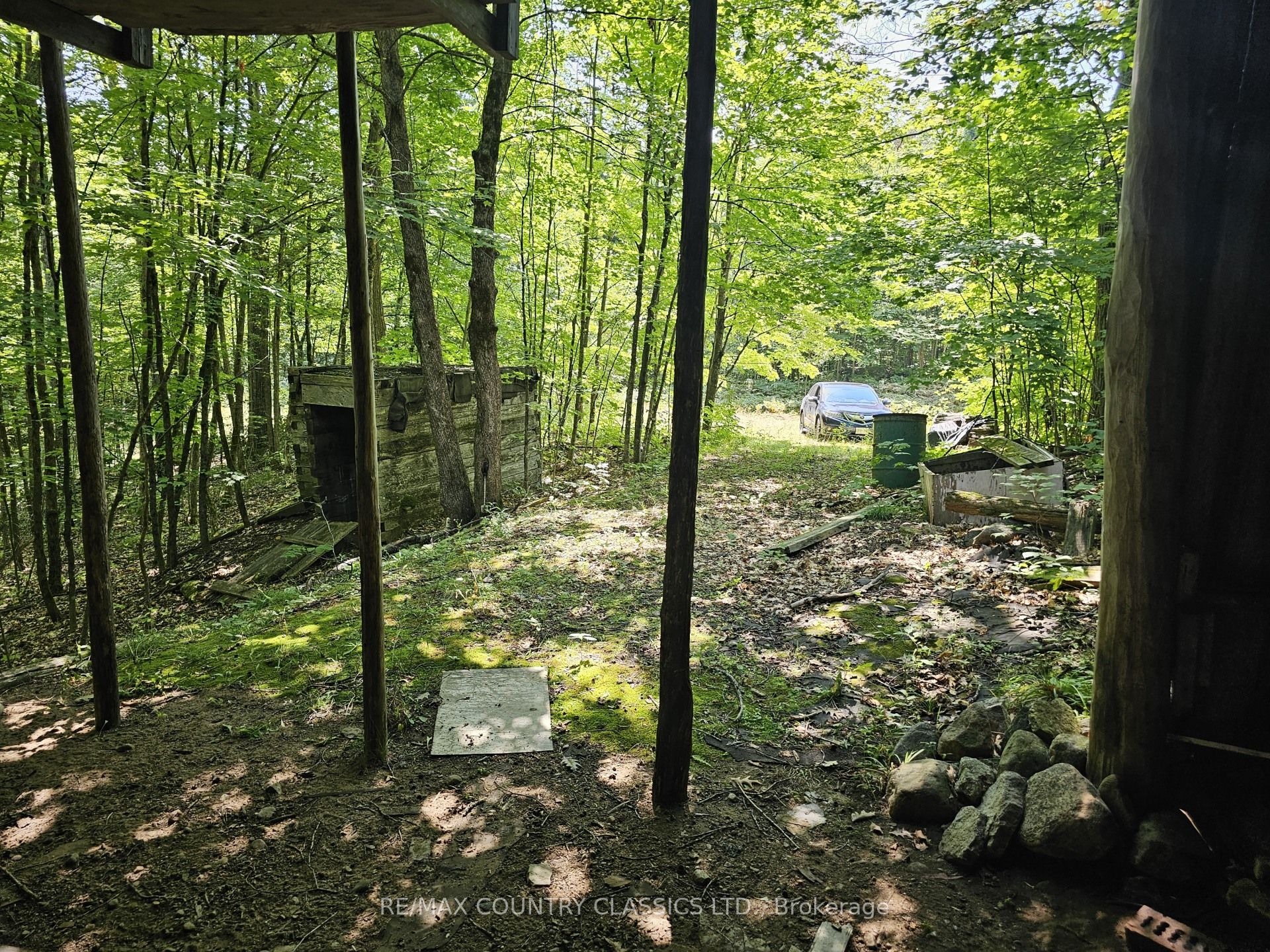 Main Property