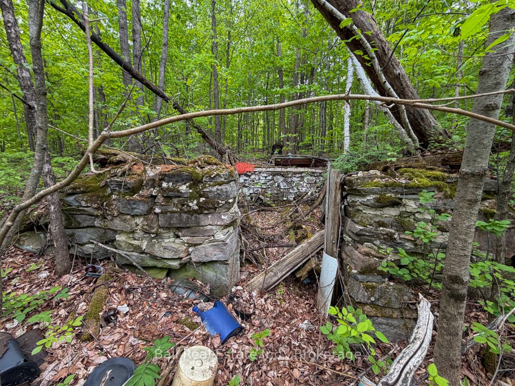 Listing 71148 Image