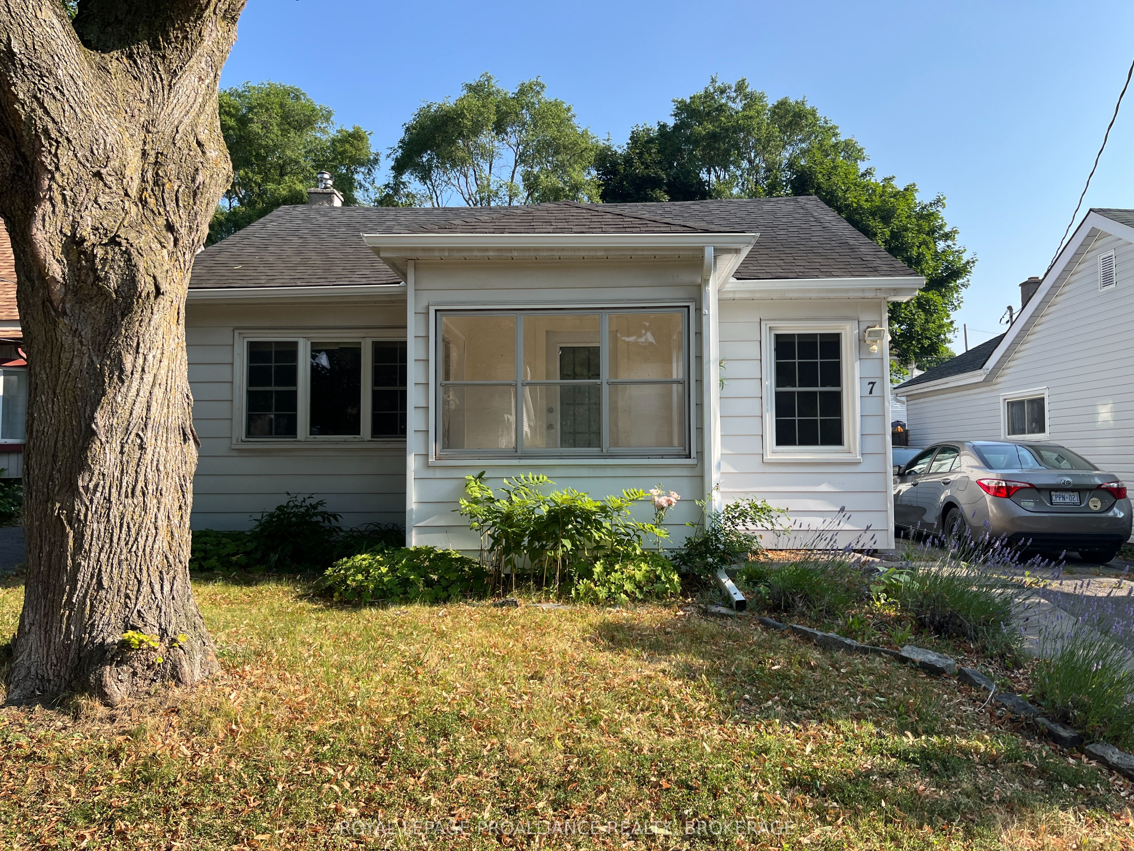 Listing 71363 Image