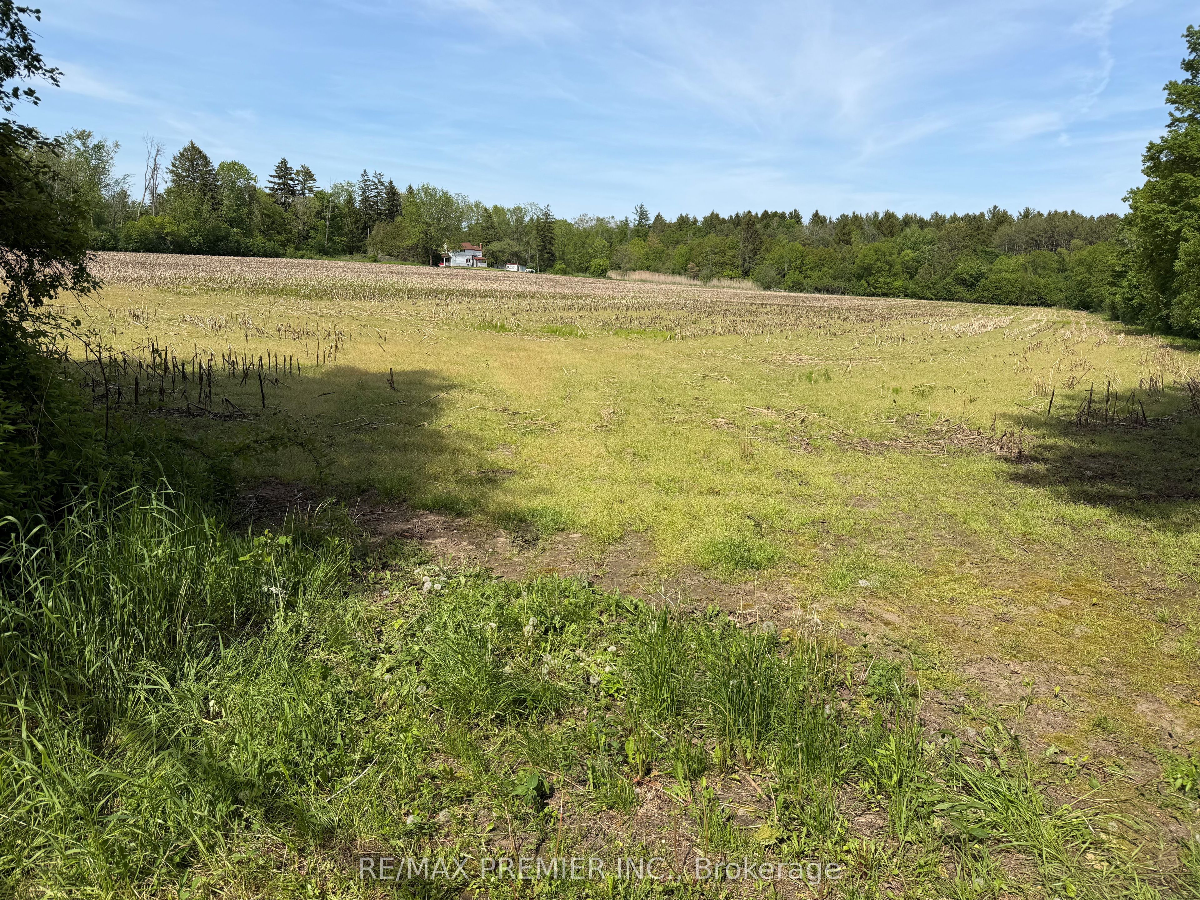 Listing 70226 Image