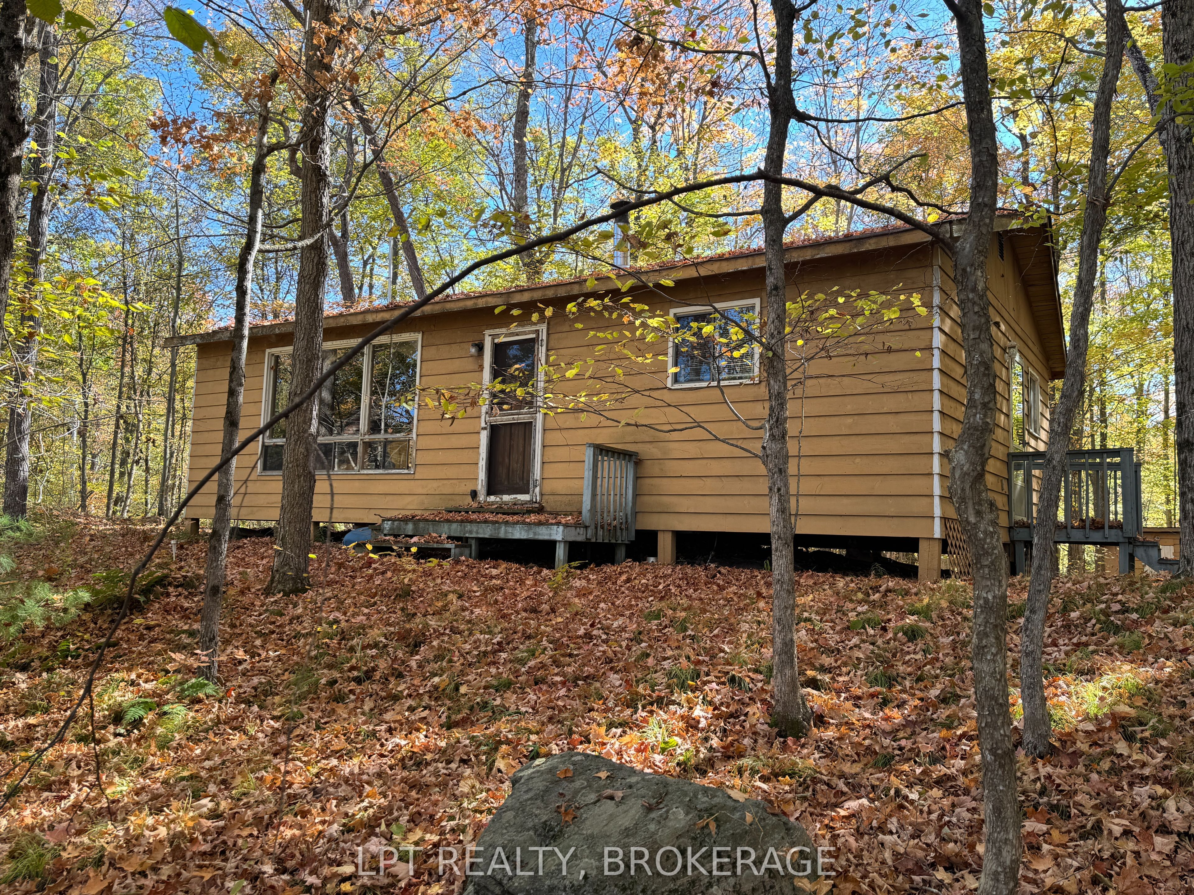 Listing 81884 Image