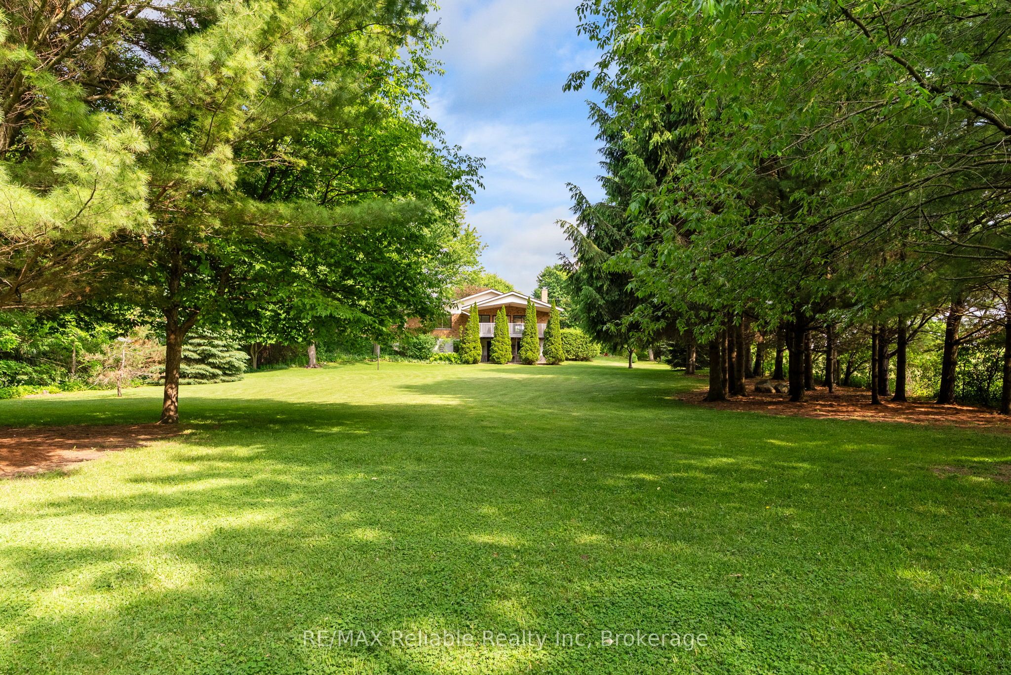Main Property