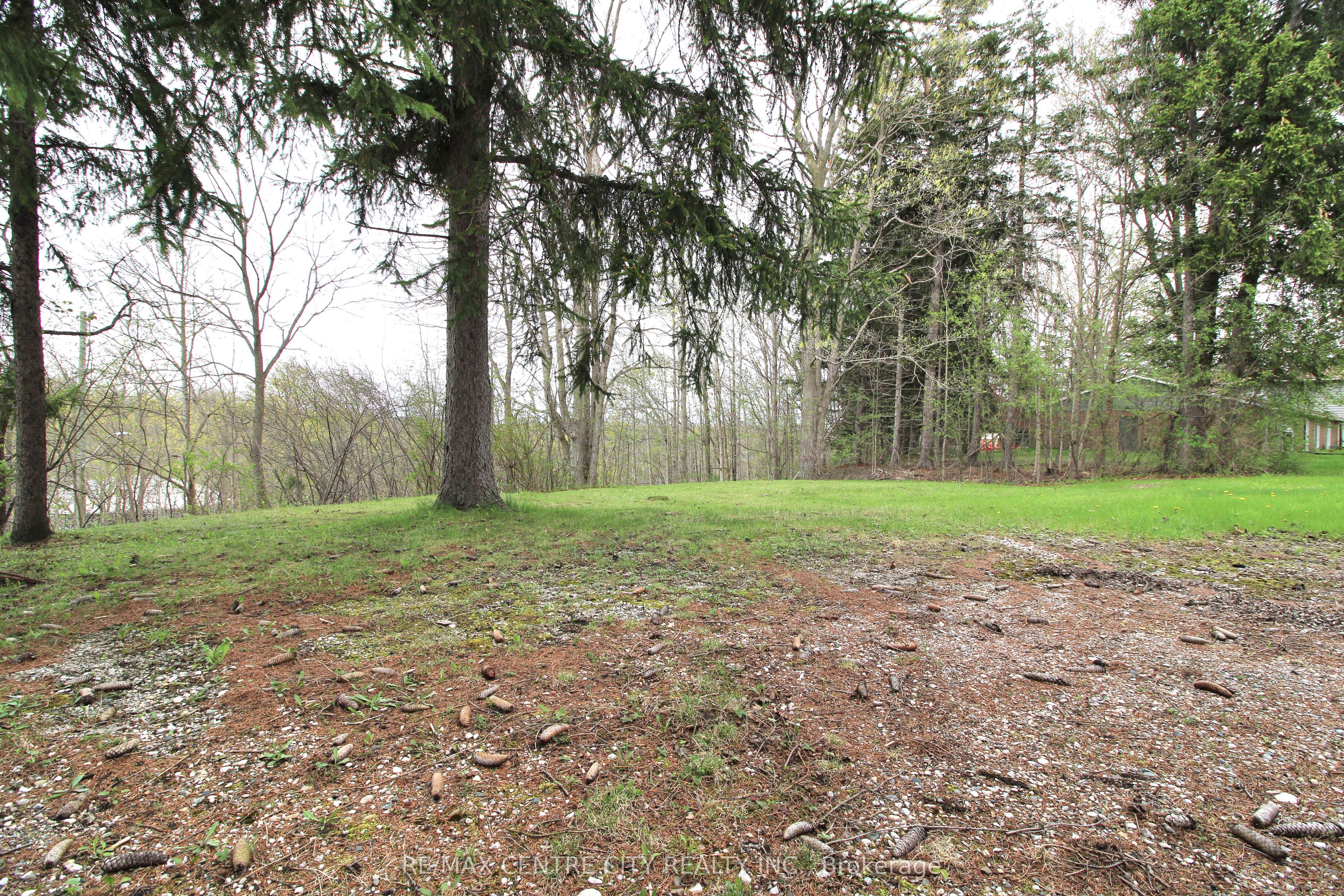 Listing 74910 Image