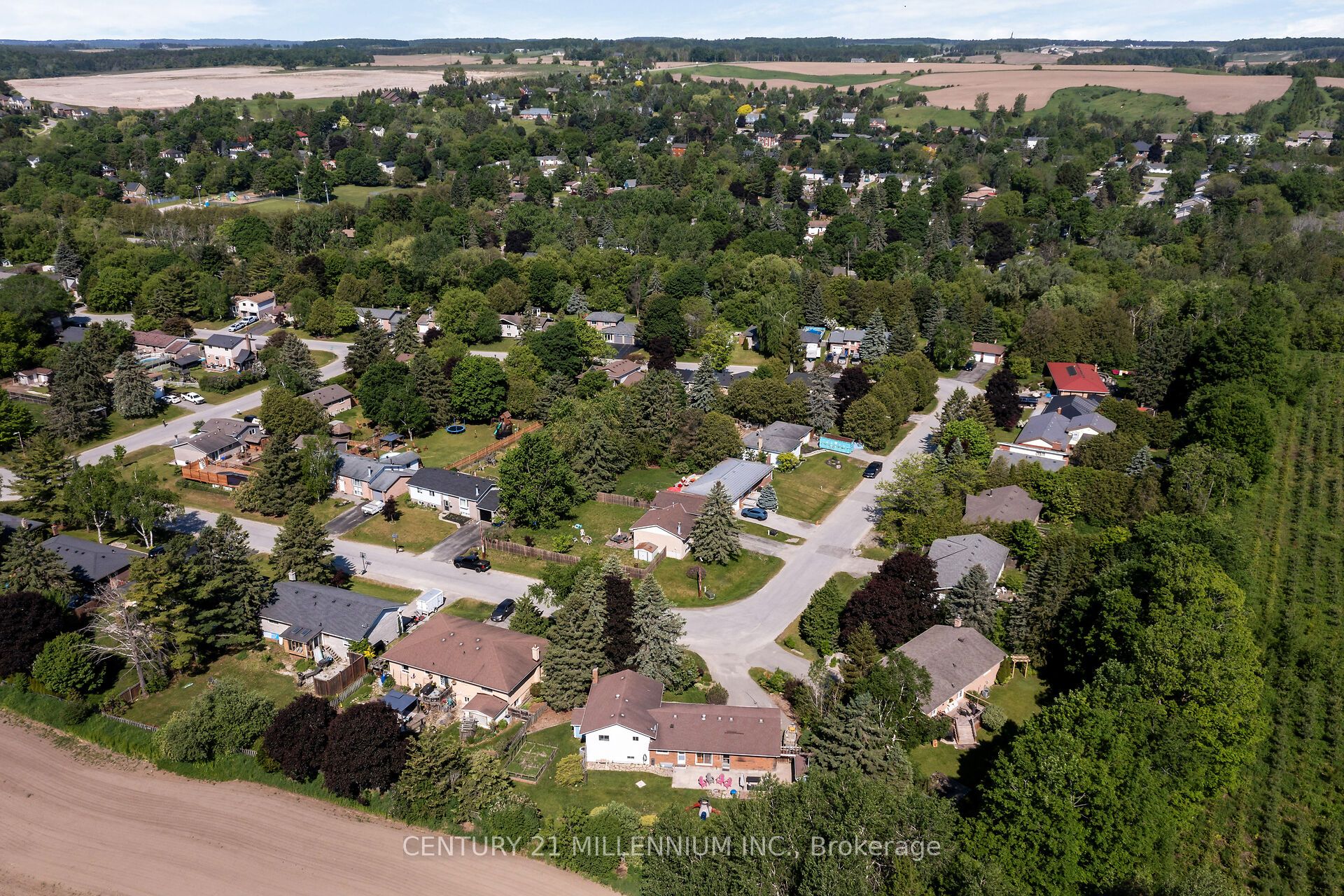 Main Property
