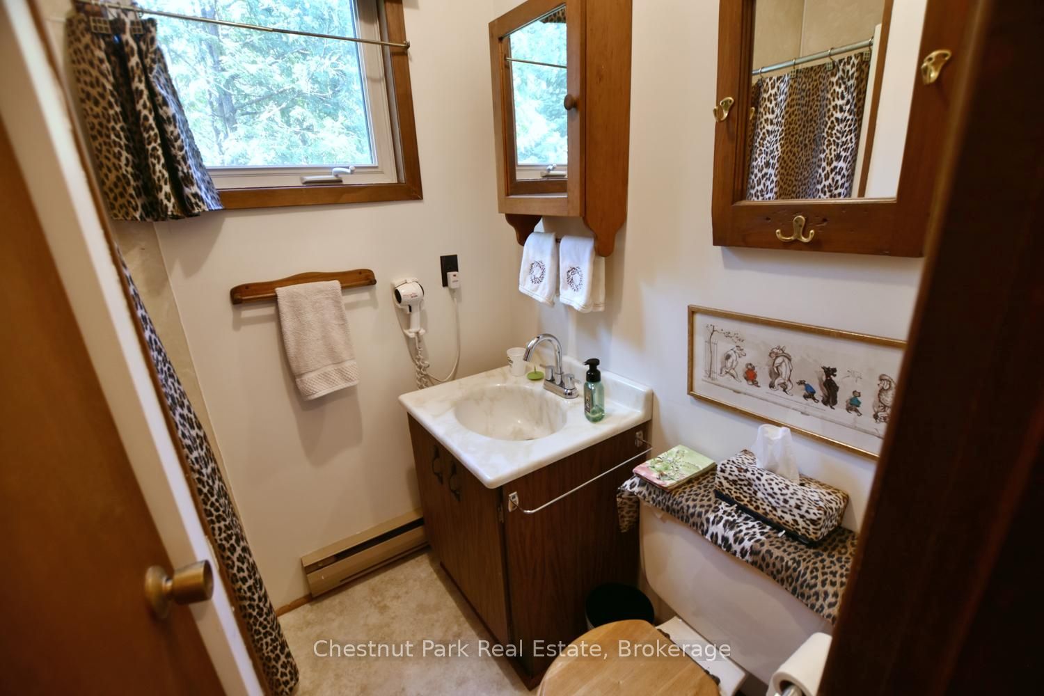 Listing 93843 Image