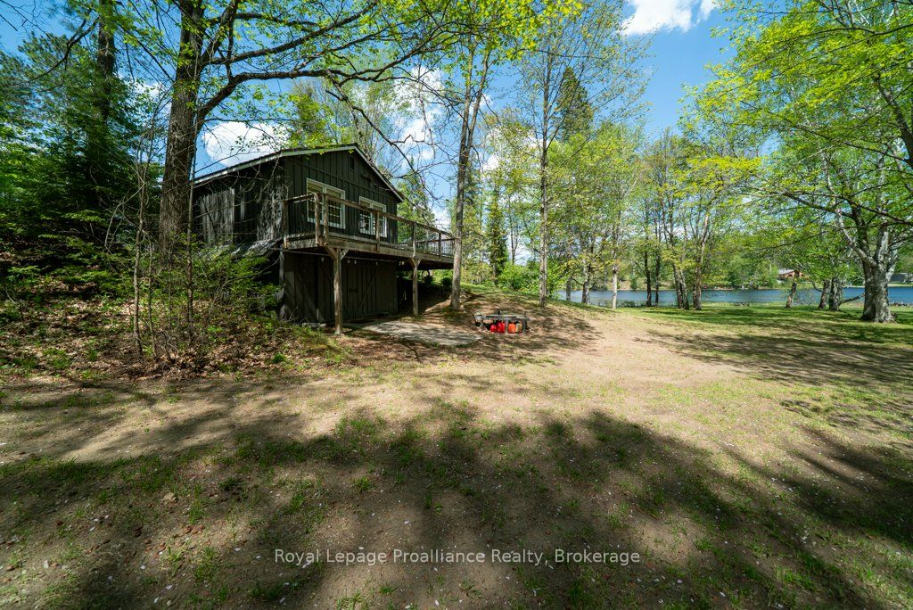 Listing 133547 Image