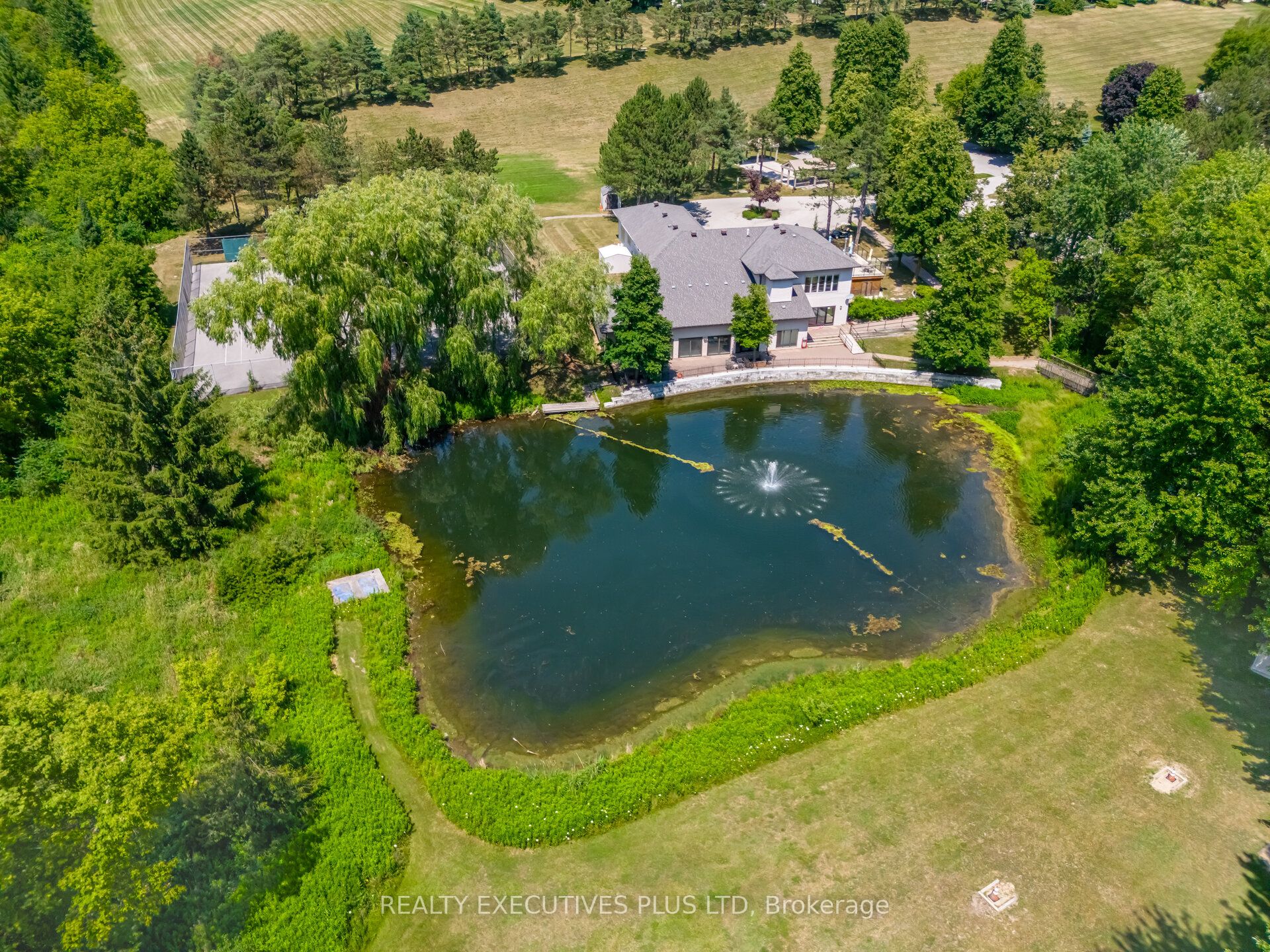 Main Property