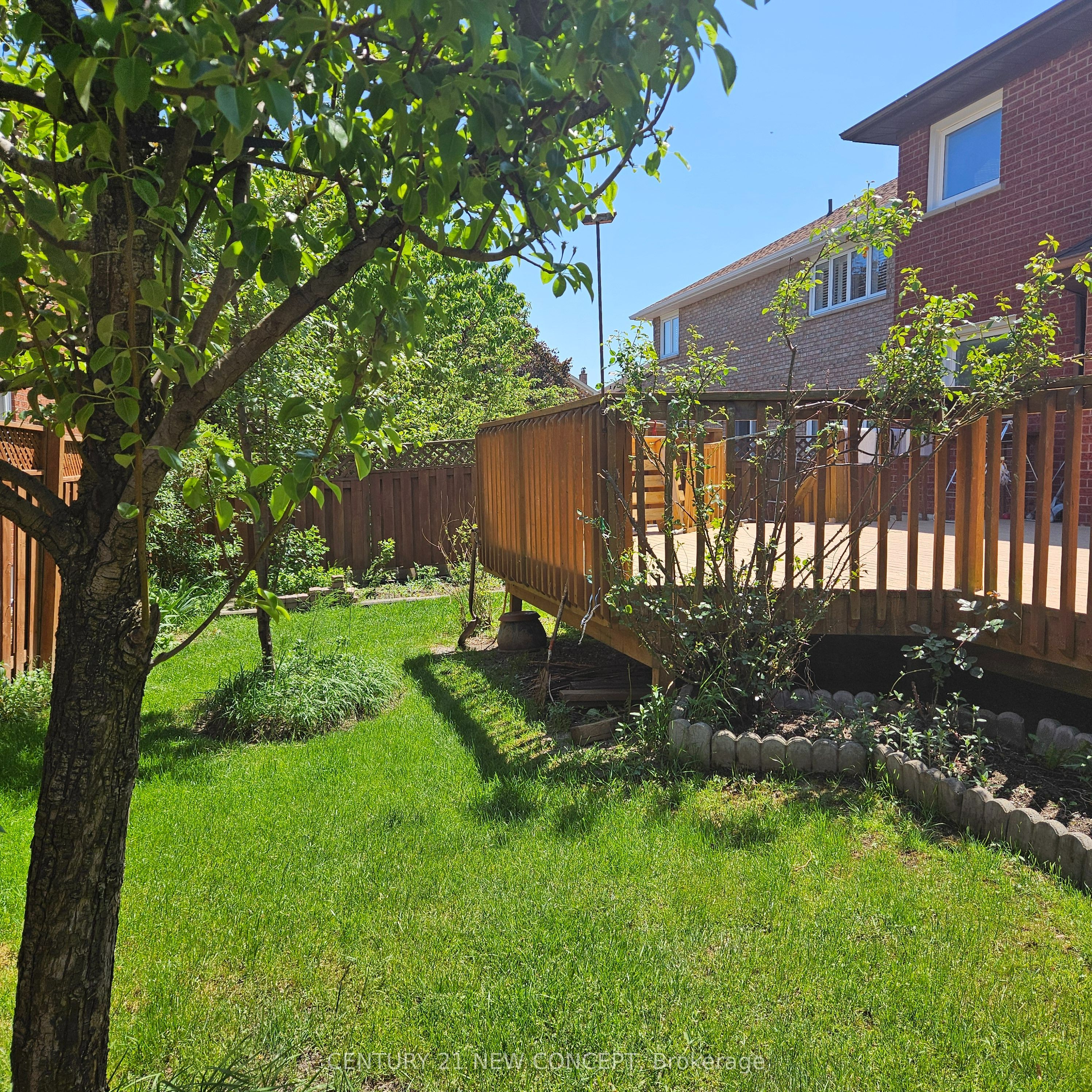 Listing 79809 Image