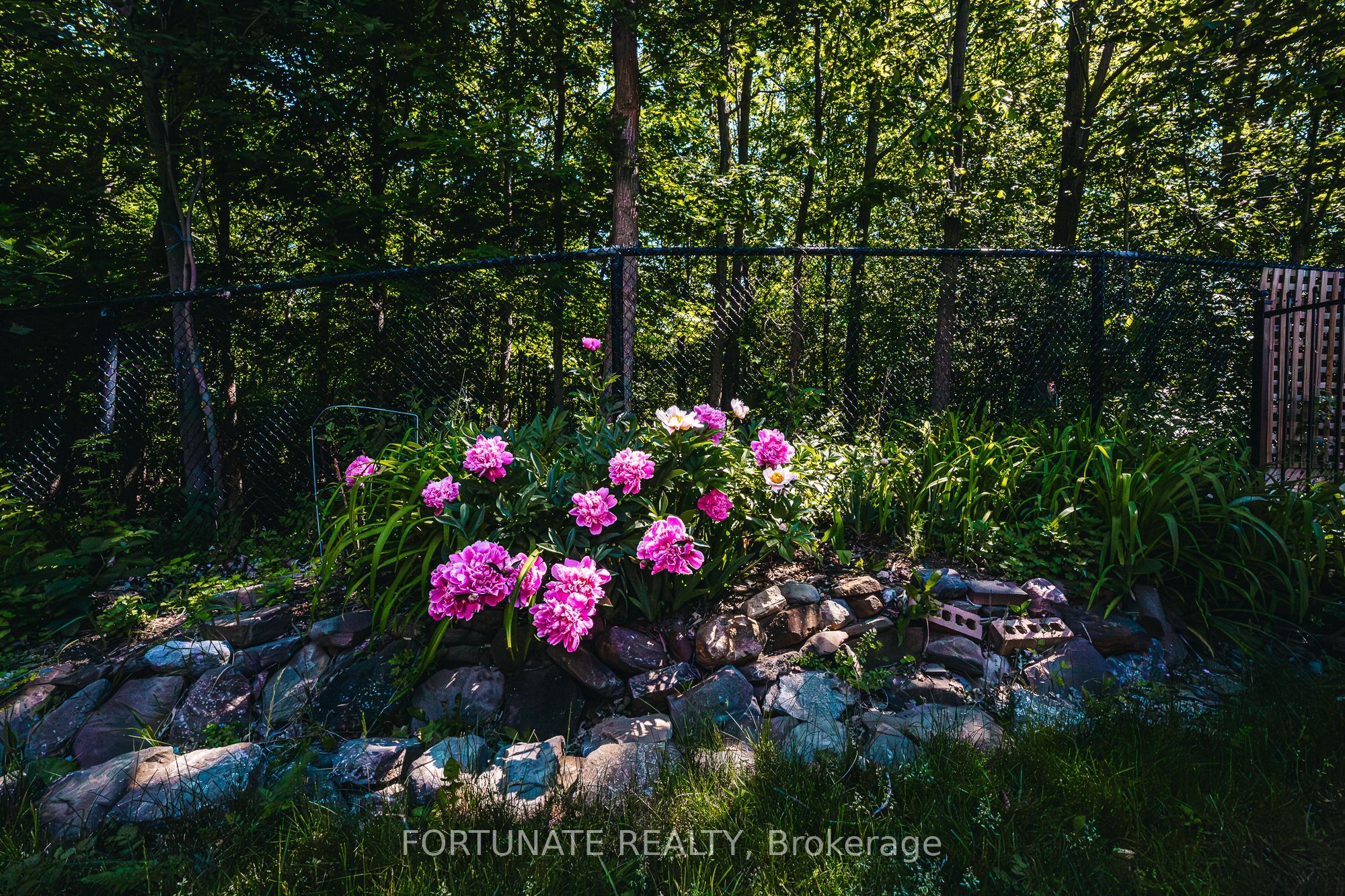 Listing 129513 Image