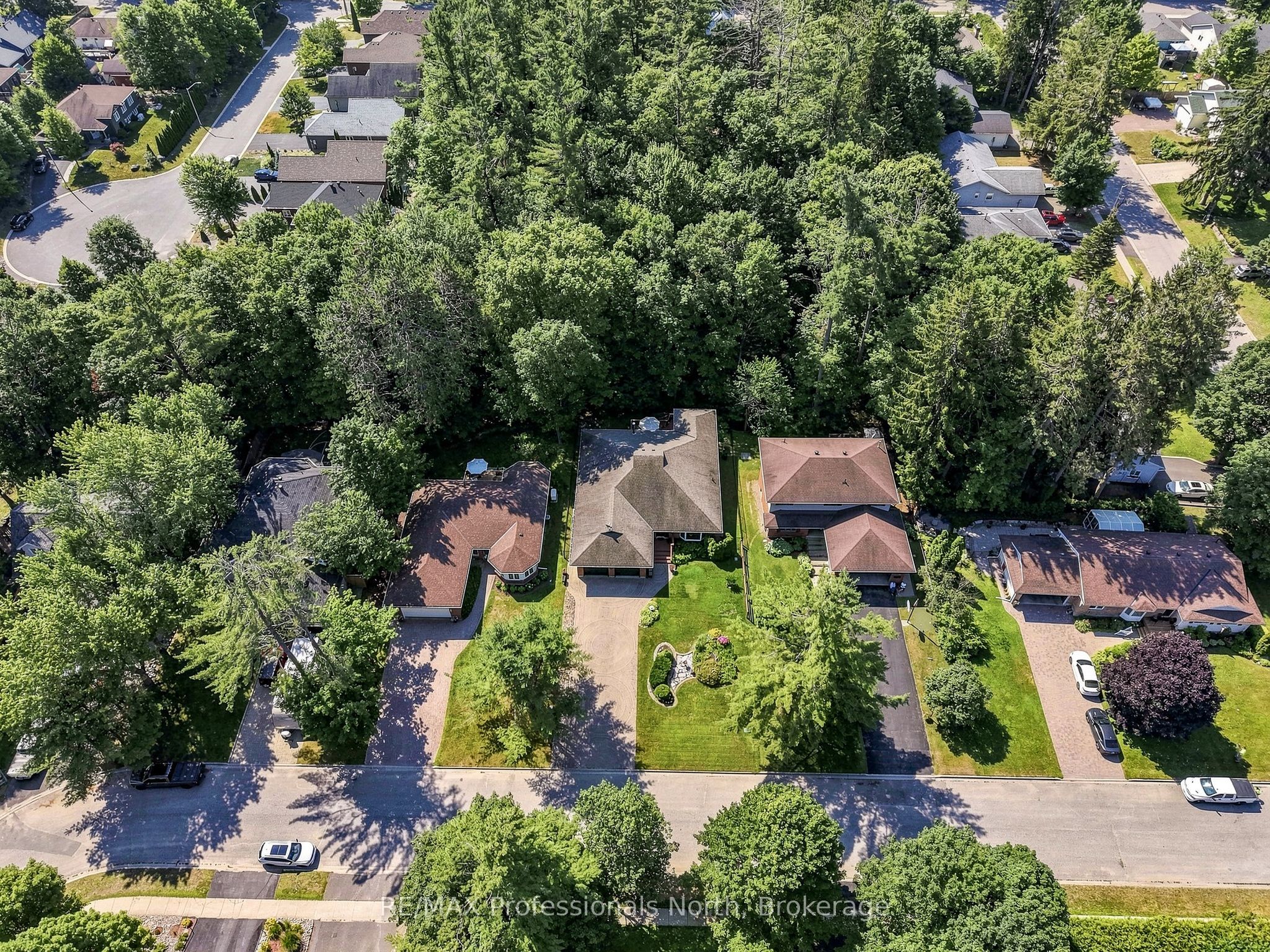 Main Property