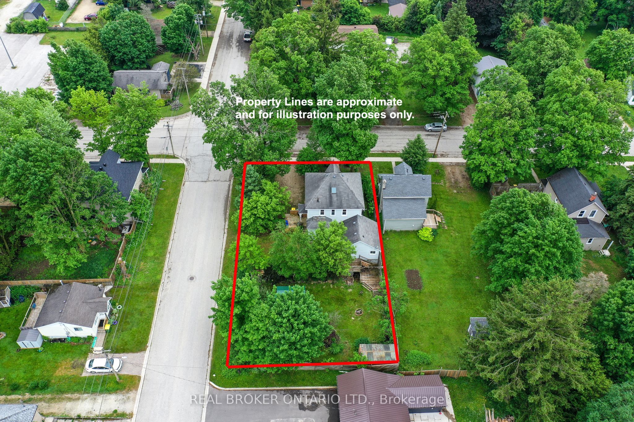 Main Property